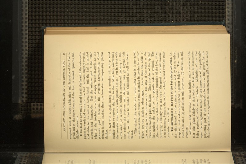scaphoid with it; slight adduction and inversion of the foot is produced at the same time and the heel is carried upwards and slightly outwards. If the foot be now fully dorsal-flexed, the head of the astragalus passes upwards and outwards, the foot becomes slightly everted and abducted as well as dorsal-flexed, and the heel is carried inwards and downwards. But the anterior part of the outer edge of the trochlea is not so sharply curved inwards as the posterior part ; therefore the eversion accompanying dorsal flexion is less marked than the inversion accompanying plantar flexion. In a foot with a good instep this eversion will not proceed further than to restore the foot to the middle line, overcoming the inversion that occurs with plantar flexion ; but in a foot with a low arch (i.e., a foot in which a mechanical tendency to flat- foot exists) the eversion and abduction may go beyond this point, and the foot be everted and abducted as well as dorsal- flexed. ' Why should the ankle be so constructed that it is projected outwards as the foot comes to full extension in moving forwards ? There are two distinct advantages. One is that the ankle of the moving foot is thrown out of the way of the other as the former is brought past the latter. Thus brushing of the uplifted foot against the ankle on the opposite side is avoided. The other advantage is that the excessive extension of the foot, which conveying it directly over the tip of the great toe would involve, is unnecessary, because the foot is, in fact, carried over the outer or shorter toes ' (Ellis). 2. The Movements of the Foot at the Sub-astragaloid Joint, i.e., the joint formed by the astragalus above, and by the os calcis, scaphoid and calcaneo-scaphoid ligament below. The move- ments here are : (a) Adduction and inversion; (b) Abduction and eversion. Adduction and inversion, and abduction and eversion of the foot take place chiefly at this joint, the first set of movements being performed with more freedom. Adduction of the foot upon the astragalus is limited by the impaction of the posteriorly projecting part of the astragalus in front of the groove for the flexor longus hallucis against the sustentaculum tali and the inner