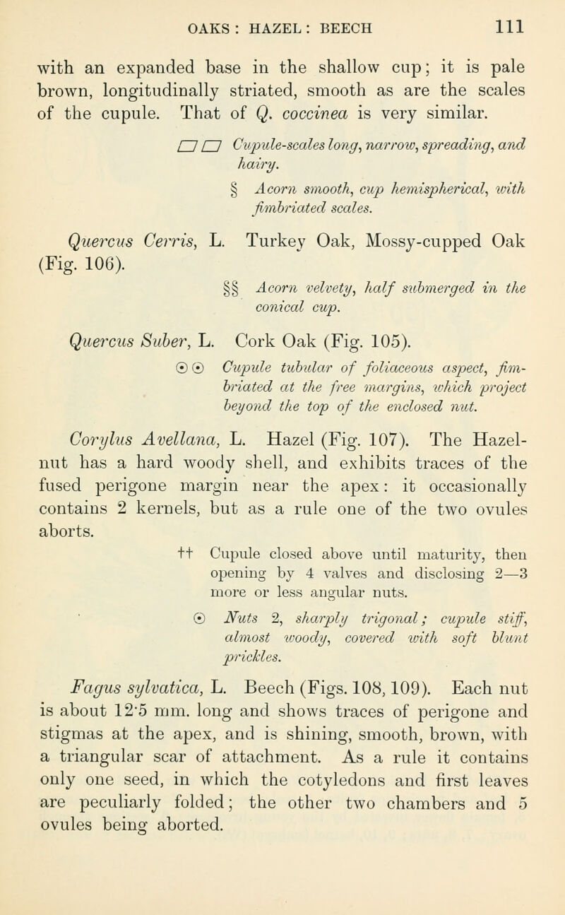 with an expanded base in the shallow cup; it is pale brown, longitudinally striated, smooth as are the scales of the cupule. That of Q. coccinea is very similar. [~1 n Cupule-scales long, narrow, spreading, and hairy. § Acorn smooth, cup hemispherical, with fimbriated scales. Quercus Cerris, L. Turkey Oak, Mossy-cupped Oak (Fig. 106). §§ Acorn velvety, half submerged in the conical cup. Quercus Suber, L. Cork Oak (Fig. 105). © © Cupule tubular of foliaceous aspect, fim- briated at the free margins, tvhich project beyond the top of the enclosed nut. Corylus Avellana, L. Hazel (Fig. 107). The Hazel- nut has a hard woody shell, and exhibits traces of the fused perigone margin near the apex: it occasionally contains 2 kernels, but as a rule one of the two ovules aborts. tt Cupule closed above until maturity, then opening by 4 valves and disclosing 2—3 more or less angular nuts. © Nuts 2, sharply trigonal; cupule stiff, almost woody, covered with soft blunt prickles. Fagus sylvatica, L. Beech (Figs. 108,109). Each nut is about 12*5 mm. long and shows traces of perigone and stigmas at the apex, and is shining, smooth, brown, with a triangular scar of attachment. As a rule it contains only one seed, in which the cotyledons and first leaves are peculiarly folded; the other two chambers and 5 ovules being aborted.