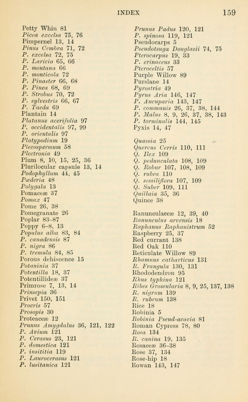 Petty Whin 81 Picea excelsa 75, 76 Pimpernel 13, 14 Pinns Cembra 71, 72 P. excelsa 72, 75 P. Laricio 65, 66 P. montana 66 P. monticola 72 P. Pinaster 66, 68 P. Pjn<?a 68, 69 P. Strobus 70, 72 P. sylvestris 66, 67 P. raedu 69 Plantain 14 Platanus acerifolia 97 P. occidentalis 97, 99 P. orientalis 97 Platypodium 19 Plecospermum 58 Plectronia 49 Plum 8, 10, 15, 25, 36 Plurilocular capsule 13, 14 Podophyllum 44, 45 Pcederia 48 Poly gala 13 Pomaceas 37 Pomax 47 Pome 26, 38 Pomegranate 26 Poplar 83-87 Poppy 6-8, 13 Populus alba 83, 84 P. canadensis 87 P. m'<7ra 86 P. tremula 84, 85 Porous dehiscence 15 Potaninia 37 Potentilla 18, 37 Potentillideae 37 Primrose 7, 13, 14 Prinsepia 36 Privet 150, 151 Procris 57 Prosopis 30 Proteacea? 12 Prunus Amygdalus 36, 121, 122 P. ^vmni 121 P. Cerasus 23, 121 P. domestica 121 P. insititia 119 P. Lauroccrasus 121 P. lusitanica 121 Prunus Padus 120, 121 P. spinosa 119, 121 Pseudocarps 5 Pseudotsuga Douglasii 74, 75 Pterocarpus 19, 33 P. erinaceus 33 Pteroceltis 57 Purple Willow 89 Purslane 14 Pyrostria 49 Pyrwa 4re'a 146, 147 P. Aucuparia 143, 147 P. communis 26, 37, 38, 144 P. MaZws 8, 9, 26, 37, 38, 143 P. torminalis 144, 145 Pyxis 14, 47 Quassia 25 Quercus Cerris 110, 111 Q. Itex 109 Q. pedunculata 108, 109 Q. JSo&wr 107, 108, 109 4 r«6ra 110 Q. sessiliflora 107, 109 Q. St^er 109, 111 Quillaia 35, 36 Quince 38 Ranunculacea3 12, 39, 40 Ranunculus arvensis 18 Raphanus Raphanistrum 52 Easpberry 25, 37 Red currant 138 Red Oak 110 Reticulate Willow 89 Rhamnus catharticus 131 R. Frangula 130, 131 Rhododendron 95 Rltus typhina 121 Ribes Grossularia 8, 9, 25, 137, 138 R. nigrum 139 R. rubrum 138 Rice 18 Robinia 5 Robinia Pseud-acacia 81 Roman Cypress 78, 80 Rosa 134 R. canina 19, 135 Rosacese 36-38 Rose 37, 134 Rose-hip 18 Rowan 143, 147