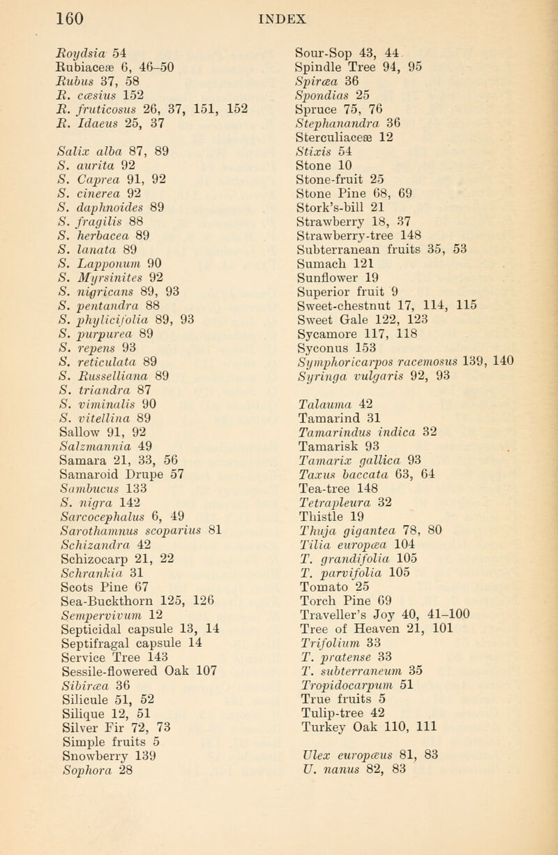 Roydsia 54 Bubiaceae 6, 46-50 Rubus 37, 58 R. ccesius 152 R. fruticosus 26, 37, 151, 152 R. Idaeus 25, 37 Salix alba 87, 89 S. aurita 92 S. Caprea 91, 92 S. cinerea 92 S. daphnoides 89 S. fragilis 88 S. herbacea 89 S. lanata 89 /S. Lapponum 90 5. Myrsinites 92 $. nigricans 89, 93 £. pentandra 88 6. phylicifolia 89, 93 /S. purpurea 89 &. repens 93 <S. reticulata 89 <S. Russelliana 89 S. triandra 87 $. viminalis 90 <S. vitellina 89 Sallow 91, 92 Salzmannia 49 Samara 21, 33, 56 Samaroid Drupe 57 Sambucus 133 S>. /n#ra 142 Sarcocephalus 6, 49 Sarothamnus scoparius 81 Schizandra 42 Schizocarp 21, 22 Schrankia 31 Scots Pine 67 Sea-Buckthorn 125, 126 Sempervivum 12 Septicidal capsule 13, 14 Septifragal capsule 14 Service Tree 143 Sessile-flowered Oak 107 Sibircea 36 Silicule 51, 52 Silique 12, 51 Silver Fir 72, 73 Simple fruits 5 Snowberry 139 Sophora 28 Sour-Sop 43, 44 Spindle Tree 94, 95 Spiraa 36 Spondias 25 Spruce 75, 76 Stephanandra, 36 Sterculiaceae 12 Stixis 54 Stone 10 Stone-fruit 25 Stone Pine 68, 69 Stork's-bill 21 Strawberry 18, 37 Strawberry-tree 148 Subterranean fruits 35, 53 Sumach 121 Sunflower 19 Superior fruit 9 Sweet-chestnut 17, 114, 115 Sweet Gale 122, 123 Sycamore 117, 118 Syconus 153 Symphoricarpos racemosus 139, 140 Syringa vulgaris 92, 93 Talauma 42 Tamarind 31 Tamarindus indica 32 Tamarisk 93 Tamarix gallica 93 Taxus baccata 63, 64 Tea-tree 148 Tetrapleura 32 Thistle 19 Thuja gigantea 78, 80 Tilia europcea 104 T. grandifolia 105 T. parvifolia 105 Tomato 25 Torch Pine 69 Traveller's Joy 40, 41-100 Tree of Heaven 21, 101 Trifolium 33 T. pratense 33 T. subterraneum 35 Tropidocarpum 51 True fruits 5 Tulip-tree 42 Turkey Oak 110, 111 XJlex europceus 81, 83 U. nanus 82, 83