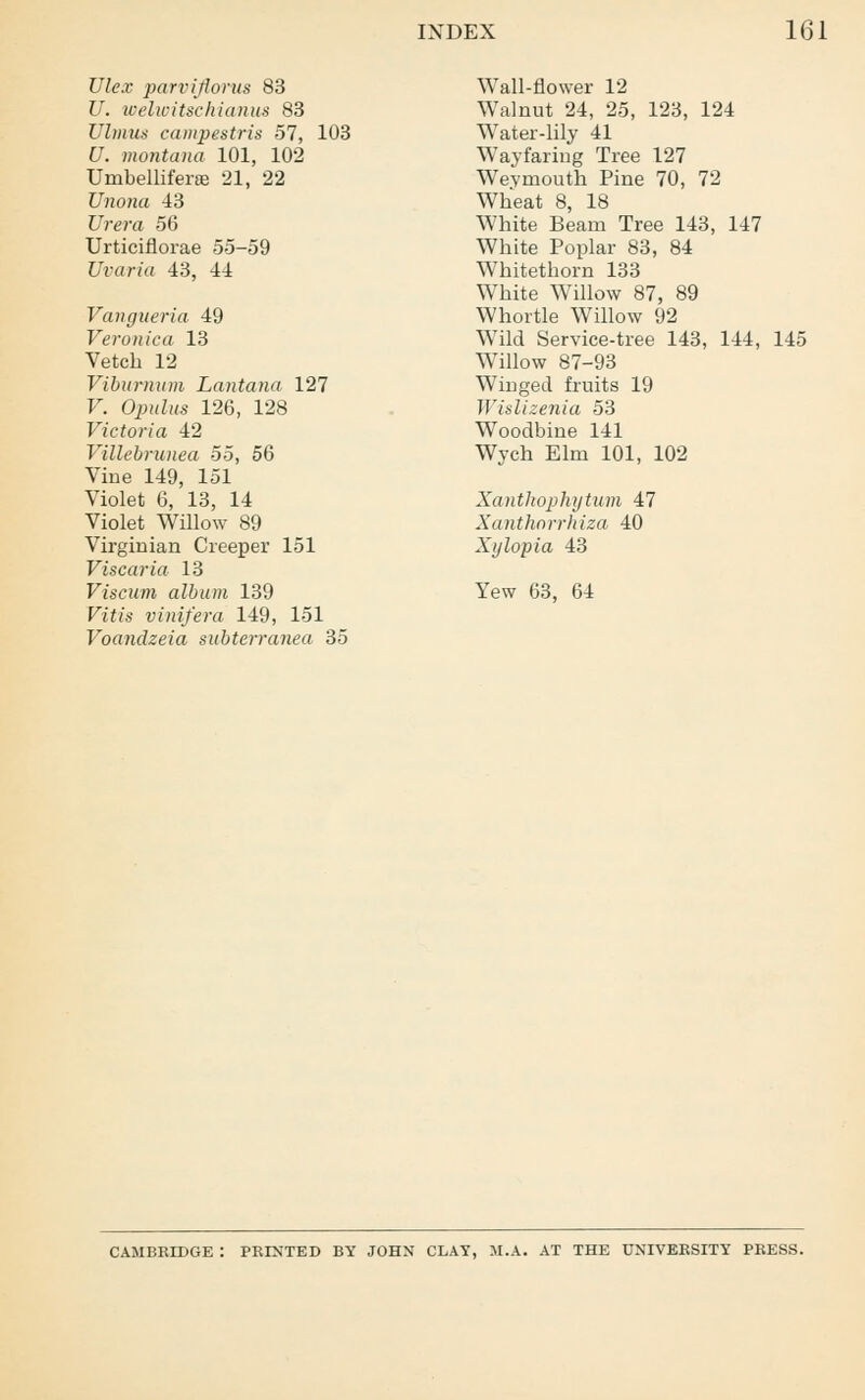 Ulex parvijiorus 83 U. welwitschianus 83 Ultnus campestris 57, 103 U. montana 101, 102 Umbelliferse 21, 22 Unona 43 Urera 56 Urticiflorae 55-59 Uvaria 43, 44 Vangueria 49 Veronica 13 Vetch 12 Viburnum Lantana 127 F. OjjkZus 126, 128 Victoria 42 Villebrunea 55, 56 Vine 149, 151 Violet 6, 13, 14 Violet Willow 89 Virginian Creeper 151 Viscaria 13 Viscum album 139 Vitis vinifera 149, 151 Voandzeia subterranea 35 Wall-flower 12 Walnut 24, 25, 123, 124 Water-lily 41 Wayfaring Tree 127 Weymouth Pine 70, 72 Wheat 8, 18 White Beam Tree 143, 147 White Poplar 83, 84 Whitethorn 133 White Willow 87, 89 Whortle Willow 92 Wild Service-tree 143, 144, 145 Willow 87-93 Winged fruits 19 Wislizenia 53 Woodbine 141 Wych Elm 101, 102 Xantkophytum 47 Xanthorrhiza 40 Xylopia 43 Yew 63, 64 CAMBRIDGE : PRINTED BY JOHN CLAY, M.A. AT THE UNIVERSITY PRESS.