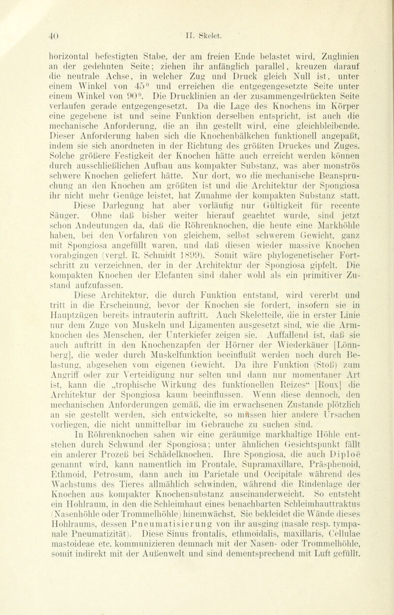liorizontal befestigten Stabe, der am freien Ende belastet wird, Zuglinien an der gedehnten Seite; ziehen ihr anfänglich parallel, kreuzen darauf die neutrale Achse, in welcher Zug und Druck gleich Null ist, unter einem Winkel von 45'^ und erreichen die entgegengesetzte Seite unter einem Winkel von 90*^. Die Drucklinien an der zusammengedrückten Seite verlaufen gerade entgegengesetzt. Da die Lage des Knochens im Kr)ri)er eine gegebene ist und seine Funktion derselben entspricht, ist auch die mechanische Anforderung, die an ihn gestellt wird, eine gleichbleibende. Dieser Anforderung haben sich die Knochenbälkchen funktionell angepaßt, indem sie sich anordneten in der Richtung des größten Druckes und Zuges. Solche größere Festigkeit der Knochen hätte auch ei-reicht werden können durch ausschließlichen Aufbau aus kompakter Suljstanz, was aber monströs schwere Knochen geliefert hätte. Nur dort, wo die mechanische Beanspru- chung an den Ivnochen am größten ist und die Architektur der Spongiosa ihr nicht mehr Genüge leistet, hat Zunahme der kompakten Substanz statt. Diese Darlegung hat aber vorläufig nur Gültigkeit für recente Säuger. Ohne daß ])isher weiter hierauf geachtet wurde, sind jetzt schon Andeutungen da, daß die Röhrenknochen, die heute eine Markhöhle haben, bei den Vorfahren von gleichem, selbst schwerem Gewicht, ganz mit Spongiosa angefüllt w^aren, und daß diesen wieder massive Knochen voi'abgingen (vergl. R. Schmidt 1899). Somit wäre phylogenetischer Fort- schritt zu verzeichnen, der in der Architektur der Spongiosa gipfelt. Die kompakten Knochen der Elefanten sind daher wohl als ein primitiver Zu- stand aufzufassen. Diese Architektur, die durch Funktion entstand, wird vererbt und tritt in die Erscheinung, bevor der Knochen sie fordert, insofern sie in Hauptzügen bereits inti'auterin auftritt. Auch Skeletteile, die in erster Linie nur dem Zuge von Muskeln und Ligamenten ausgesetzt sind, wie die Arm- knochen des Menschen, der Unterkiefer zeigen sie. Auffallend ist, daß sie auch auftritt in den Knochenzapfen der Hörner der Wiederkäuer [Lönn- berg], die weder durch Muskelfunktion beeinflußt werden noch durch Be- lastung, abgesehen vom eigenen Gewicht. Da ihre Funktion (Stoß) zum Angritf oder zur Verteidigung nur selten und dann nur momentaner Art ist, kann die „trophische Wirkung des funktionellen Reizes [Roux] die Architektur der Spongiosa kaum beeinflussen. Wenn diese dennoch, den mechanischen Anfordei'ungen gemäß, die im erwachsenen Zustande plötzlich an sie gestellt werden, sich entwickelte, so müssen hier andere lirsachen vorliegen, die nicht unmittelbar im Gebrauche zu suchen sind. In Röhrenknochen sahen wir eine geräumige markhaltige Höhle ent- stehen durch Schwund der Spongiosa; unter ähnlichen Gesichtspunkt fällt ein anderer Prozeß bei Schädelknochen. Ihre Spongiosa, die auch Diploe genannt wird, kann namentlich im Frontale, Su])raniaxillare, Präsphenoid, Ethmoid, Petrosuni, dann auch im Parietale und Occipitale während des Wachstums des Tieres allmählich schwinden, während die Rindenlage der Knochen aus kompakter Knochensubstanz auseinanderweicht. So entsteht ein Hohlraum, in den die Schleimhaut eines benachbarten Schleimhauttraktus (Nasenhöhle oder Trommelhöhle) hinemwächst. Sie bekleidet die Wände dieses Hohlraums, dessen Pneumatisierung von ihr ausging (nasale resj). tympa- nale Pneumatizität). Diese Sinus frontalis, ethmoidalis, maxillaris. Cellulae mastoideae etc. kommunizieren demnach mit der Nasen- oder Tronimelh()hle, somit indirekt mit der Außenwelt und sind dementsprechend mit Luft gefüllt.