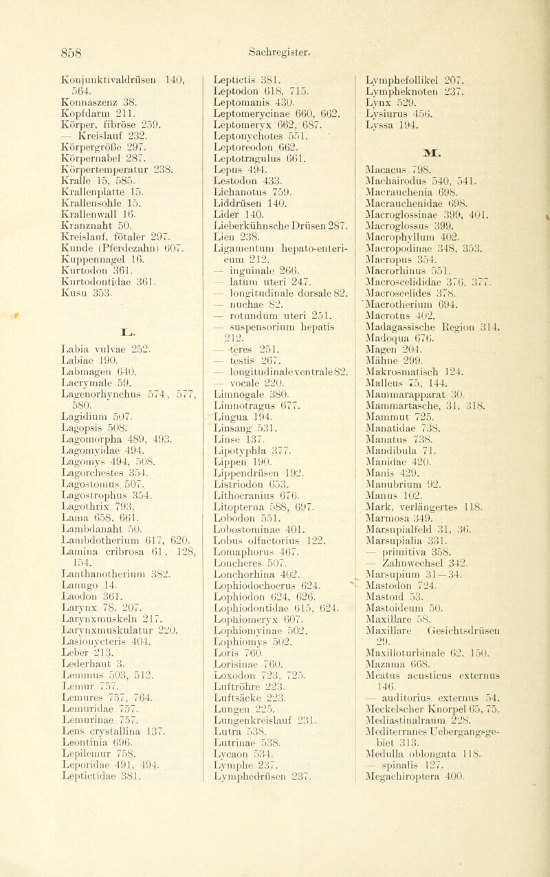 Koojunktivaldrüseu 140, 564. Konnaszenz 38. Kopfdanii 211. Körper, fibröse 2.59. — Kreislauf 232. Körpergröße 297. Körpernabel 287. Körpertemperatur 238. Kralle 15, 585. Krallenplatte 15. Kralleusohle 15. Krallenwall 16. Kranznaht 50. Kreislauf, fötaler 297. Kunde (Pferdezahn) 607. Kuppen nagel 16. Kurtodou 361. Kurtodontidae 361. Kusu 353. I^abia vulvae 252. Labiae 190. Labmagen 640. Lacrymale 59. Lagenorhvnchus 574, 577, 580. Lagidium 507. Lagopsis 508. Lagomorpha 489, 493. Lagomyidae 494. Lagouiys 494, 508. Lagorchestes 354. Lagostomus 507. Lagostrophus 354. Lagothrix 793. Lama 658, 661. Lanibdanaht 50. Lambdotherium 617, 620. Lamina cribrosa 61 , 128, 154. Lanthanotherium 382. Lanugo 14. Laodon 361. Larynx 78, 207. Larynxmuskeln 217. Larynxmuskulatur 220. Lasionvcteris 404. Leber 213. Lederhaut 3. Leuimus 503, 512. Leinur 757. Lernures 757, 764. Lemuridae 757. Lemurinae 757. Lens crystallina 137. Leontinia 696. Lepilenuir 758. Leporidae 491, 494. Leptictidae 381. Leptictis 381. Leptodon 618, 715. Leptomanis 430- Leptomerycinae 660, 662. Leptomeryx 662, 687. Leptonychotes 551. Leptoreodon 662. Leptotragulus 661. Lepus 494. Lestodon 433. Lichanotus 759. Liddrüsen 140. Lider 140. Lieberkühnsehe Drüsen 287. Lien 238. Ligamentum hepato-enteri- eum 212. — inguinale 266. — latuiu uteri 247. — longitudinale dorsale 82. — nuchae 82. — rotundum uteri 251. — Suspensorium hepatis 212. — teres 251. — testis 267. — lonsfitudinale ventrale 82. ~ vocale 220. Limnogale 380. Limnotragus 677. Lingua 194. Lin.sang 531. Linse 137. Lipotyphla 377. Lippen 190. Lippendrüsen 192. Listriodon 653. Lithocranius 676. Litopterna 588, 697. Lobodon 551. Lobostominae 401. Lobus olfactorius 122. Lomaphorus 467. Loncheres 507. Lonchorhina 402. Lophiodochoerus 624. Lojjhiodon (524, 626. Lophiodontidae 615, 624. Lophiomeryx 607. Lophiomyinae 502. Lophiomys 502. Loris 760. Lorisinae 760. Lo.xodon 723, 725. Luftröhre 223. Luftsäcke 223. Lungen 225. Lungenkreislauf 231. Lutra 538. Lutrinae 538. Lycaon 534. Lymphe 237. Lymphedrüsen 237. Lymphefollikel 207. Lympheknoten 237. Lynx 529. Lysiurus 456. Ly.ssa 194. Macacus 798. Machairodus 540, 541. Macrauchenia 698. Macrauchenidae 698. Macroglossinae 399, 401. Macroglossus 399. Macrophyllum 402. Macropodinae 348, 353. Macropus 354. Macrorhinus 551. Macroscelididae 376, 377. Macroscelides 378. 'Macrotherium 694. Macrotus 402. Madagassische Eegion 314. Madoqua 676. Magen 204. Mähne 299. .Makrosmatisch 124. Malleus «5, 144. Mammarapparat 30. Mammarta.sche, 31, 318. Mamnuit 725. Manatidae 738. Manatus 738. Mandibula 71. Manidae 420. Manis 429. Manubrium 92. Manns 102. Mark, verlängertes 118. Marmosa 349. Marsupialfeld 31, 36. Marsupialia 331. — primitiva 3.58. — Zahnvvechsel 342. Mars u pi u m 31 — 34. Mastodon 724. Mastoid 53. Mastoideum 50. Maxillare 58. Maxillare Gesichtsdrüsen 29. Maxilloturbinale 62, 150. Mazama 668. Meatus acusticus externus 146. — auditorius extermis ,54. Meckelscher Knorpel (iö, 75. Mediastinalraum 228. [editerrane biet 313. MeduUa oblongata 118. — spinalis 127. Megachiroptera 400.