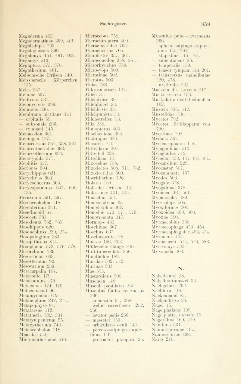 Megadernia 402. Megaderniatinae 399, 401. Megaladapis 7()5. Megaloglossus 399. Megalonyx 4,öl, 4G1, 4()2. Meganiys 513. Megai)tera 575, 57G. Megatherium 461. Meiboniische Drüsen 140. Meis.siiersche Körperchen 135. Mele.s 537. Melinae 537. Mellivora 537. Melonycteris 399. Melursus 536. Membrana nictitans 141. — orbitalis 59. — subzonale 'JS(). — tynipani 145. Menacodon 3(J1. Meuingen 127. Meniscoessus 357, 358, 3(51. Meiiisfolheriidae (j93. Meniscotheriuni (594. Menolyphla 377. Mephilis 537. Merione.« 504. Merychippiis ()2l. Merycliyiis 603. Merycochoerus 603. Merycopotaniu.s 647, 690, 735. Mesaxonia 591, 597. Mescncephaloii 118. Me.senleriuni 211. Mesethiiioid 61. Mesoceti 583. Mesodonta 762, 765. Älesohippus 620. Mesoiicphros 239, 274. Mesopatagiuni 383. Mesopithecus 814. Mesoplodon 573, 576, 578. Mesorchium 239. Mesoreodon 663. Mesostenuim 92. Mesovarium 239. Metacarpalia 104. Metaeonid 179. Metaconulus 179. Metaconus 174, 179. Metacoraeoid 96. Äletaniynodon 625. Metanephros 242, 274. Metapophyse 84. Metatarsus 112. Metatheria 302, 331. Metatynipanicum 55. Metaxytherium 740. Meteiieepbalon 118. Äliacidae 540. Microbiotheriidae 510. Microcebus 75S. Microchiroptera 4()0. Microchoeridao 765. Microchoeru.s 765. Microlestes 357, 361. Microcoiiodon 358, 361. MicrorhyiK'hns 759. Microsyops 509. Microtinae 502. Microtns 503. Midas 786. Mikrosmatisch 124. Milch 31. Milchdrüse 30. Milchhügei 33. Milchleistc 33. Milclipunkte 33. .Milchstreilen 33. Milz 23S. Minioptenis 405. Miuciaenidae 693. Miohippus 620. Miosiren 740. Mitteidarin 207. Mitt«;lfell 228. Mittelhaar 11. Mixücebus 758. Mi.xodectes 508, 511, 762. Mixodectidae 509. Moeritberinni 726. Molaies 169. Molische Drüsen 140. Molossinae 401, 405. Moiiachus 551. MoiHH'ondylia 42. Monodeiphia 362. Monodon 573, 577, 579. Monotremata 317. Mormops 403. Moschinae 667. Moschus 667. Moschusbeutel 28. Mucosa 196, 203. Müilersche Gänge 246. Multituberculata 356. Mundhöhle 189. Muridae 502, 512. Murinae 503. Mus 503. Muscardin US 500. .Muscheln 148. Musculi papilläres 230. Musculus bulbo-cavernosus 266. — cremaster 34, 268. — ischio - cavernosus 252, 266. — levator penis 266. — masseter 159. — orbicularis oculi 140. — petroso-salpingo-staphy- linus 146. — protractor praeputii 35. Musculus pui)o-cavernosus 266. — spheno-salpingo-staphv- linus 145, 201. — stapedius 145, 161. — subcutaneus 36. — teniporalis 159. — tensor tympuni 144,201. — transversus niandibiilae 220, 478. — iirethraiis 262. Muskeln des Larynx 217. Muskelsyyteni 156. Muskulatur der Gliednialien 162. Mu.stela 536, 542. Mustelidae 536. Mycetes 792. !Mvcetes, Brüliapparat von 790. Mycetinae 792. Mydaus 537. Myeleiicei)halon 118. Mylagaulidae 512. Mvlagaulus 512. Mylodon -133, 451, 160, 461. Myocardiuni 229. Myocastor 507. Myocoinniata 157. Myodes 503. Myogale 378. Mvogalinae 378. MyoTdea 491, 'A)[. Myouiorpha 489. Myoscaiops 505. Mvoxifornies 500. xMyoxoidea 490, 500. Myoxus 500. Myrmecobius 350. Myrniecophaga 453, 454. Myrniecophagidae 453, 454. Mystacina 405. Mystacoceti 574, 576, 583. Mystronivs 502. Myxopoda 403. IN. Nabelbeutel 28. Nabelhautniuskel 36. Nachgeburt 292. Nachhirn 118. Nackenband 83. Nackendrüse 28. Nagel 16. Nagelphalanx 105. Nagelplatte, dorsale 15. Nagezähne 169, 479. Nandinia 531. Nannosciurinae 497. Nannosciurus 498. Nares 216.