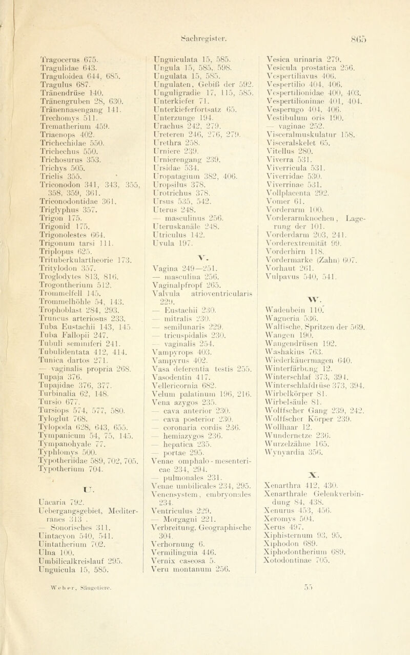 Trafioc'crus 6T5. Tragiilidae 643. Tragiiloideu 044, 08). Tragulus G87. Tränendrüse 140. Tränengruben 28, G3(). Träiieiiiiaseiigang 141. Trechoniys 511. Treaiatheriuni 459. Triaenops 402. Trichcchidae 550. Trichechns 550. Trichosunis 353. Trichys 505. Triclis 355. Triconodon 341, 343, 355, .358, 359, 3()1. Trieoiuidoiitidae 3(i 1. Triglyphus 357. Trigon 175. Trigoiiid 175. Trigoiiolestes 664. Trigomim tar.si 111. Triplopiis 625. Tritubcrkulartlieorie 1 73. Tritvlüdon 357. Troglodytcs 813, 816. Trogoiithoriiiin 512. Troiiiiiu'lfell 145. Troiniiit'lhiUile 54. 143. Troi)h(>bhist, 284, 293. Tnincu.s arteriosu.'; 233. Tuba P:ustacliü 143, 145 riil)a Falle >i)ii 247. Tuhuli seniinifcri 241. Tubulidentata 412, 414. Tiinica dartos 271. ^vaginalis propria 268. Tiipaja 376. Tiipajidae 376, 377. Turbinalia 62, 148. Tur.sio 677. Tiirsiops 574, 577, 580. Tyloglut 768. Tylopoda 628, 643, 655. Tympaiiicum 54, 75, 145. Tyiupanohyale 77. Typhloiny.s 500. Typutlieriidae 589, 702, 705. Typotherium 704. XJ. Uacaria 792. Uebergaiigsgebiet, Mediter- ranes 313 . — Sonorisches 311. Uintacvon 540, 541. Uintatherium 702. ITna 100. Umbilicalkreislauf 295. Unguiciila 15, 585. Unguioulata 15, 585. Ungula 15, .585, 598. Uugulata 15, 585. Ungulaten, Gebiß der 592. Unguligradie 17, 115, 585. Unterkiefer 71. Untei'kieferfortsatz 65. Unterzunge 194. Urachus 242, 279. Ureteren 246, 27(i, 279. Urethra 258. Urniere 239. Urnierengang 239. Trsidae 534. Uropalagiuni 382, 406. Urop.silus 378. Urotrichu.s 378. Ursus 535, 542. Uterus 248. — mascuiinus 256. Uteruskanäle 248. Utriculus 142. Uvula 197. Vagina 249—251. — nia.seulina 256. Vaginal pfropf 265. Valvula atrioventrieularis 229. — Eustachii 230. — niitralis 23i). — seiniinnaris 229. — trieuspidalis 230. — vaginali.s 254. Van)pyrops 403. Vanipyrus 402. Vasa deferentia testis 255. Va.sodentin 417. Vellericornia 682. Veluni palatinuin 196, 216. Vena azygos 235. — Cava anterior 2.30. — Cava posterior 230. — coronaria cordis 236. — hemiazygos 236. — hepatica 235. — portae 295. Venae omphalo - mesenteri- cae 234, 294. — pulmonales 231. Veuae lunbilicales 234, 295. Venensvstem, embryonales 234.  Ventriculns 229. ] — Morgagni 221. Verbreitung, Geographische 304. Verhornung 6. Vermilinguia 446. Vernix caseosa 5. Veru montanuni 256. Vesica urinaria 279 Ve.sicula prostatica 2 Vespertiliavus 406. Vespertilio 404, 406. Vespertilionidae 400, Vespertilioninae 401, Vesperugo 404, 406. Vestibuluni oris 190. — vaginae 252. Visceralmuskulatur 1 Visceralskelet 65. Vitellus 280. Vivcrra 531. Vivcrricula 531. Vivcrridae 530. Vivcrrinae 531. Vollplaconta 292. Vonier (31. Vorderarm KH). Vorderarmknochen , rnng der 101. Vorderdarm 203, 241 Vordcre.vtremität 99. Vorderhirn 118. \'^ordermarke (Zahn) ( Vorhaut 261. Vulpavus 540, 541. 56. 403. 404. 58. Laue- io.. AV. Wadenbein 110. Wagneria 536. Walfische, Spritzen der 569. Watigen 190. Wangendrüsen 192. Washakius 763. Wiederkäuermagen (540. Winterfärbt.ng 12. Winterschlaf 373, 39-1. Wintcrschlaldiüse 373, 394. Wirbelkörper 81. Wirbelsäule 81. Wölfischer Gang 239, 242. Wollfscher Körper 239. Wollhaar 12. Wundernetze 236. Wurzelzähne 165. Wvnvardia 356. X. Xenarthra 412, 430. Xenarthrale Gelenkverbin- dung 84, 438. Xenurus 453, 456. Xeromvs 504. Xerus 497. Xiphisternum 93, 95. Xiphodon 689. Xiphodontherium 689. Xotodontinae 705.
