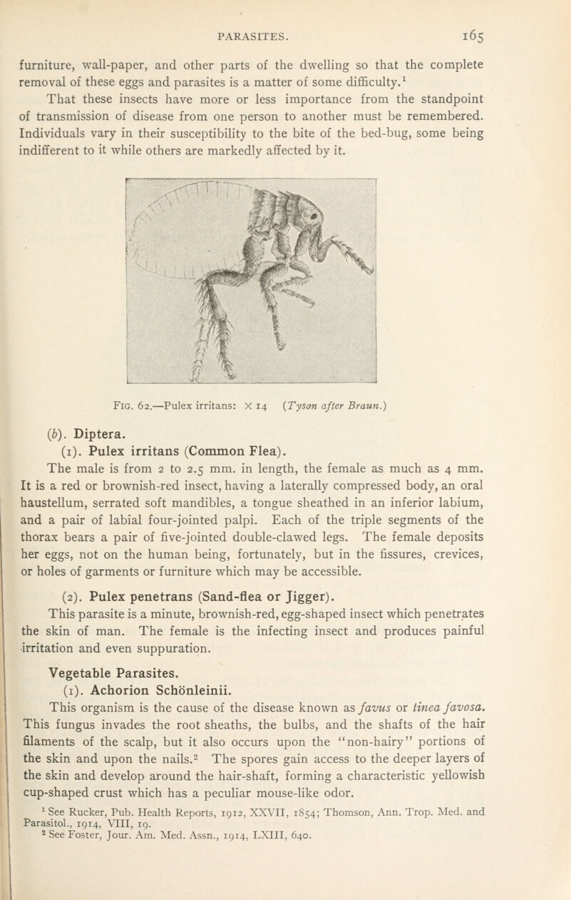 furniture, wall-paper, and other parts of the dwelling so that the complete removal of these eggs and parasites is a matter of some difficulty.^ That these insects have more or less importance from the standpoint of transmission of disease from one person to another must be remembered. Individuals vary in their susceptibility to the bite of the bed-bug, some being indifferent to it while others are markedly affected by it. Fig. 62.—Pulex irritans: X 14 {Tyson after Braun.) (b). Diptera. (i). Pulex irritans (Common Flea). The male is from 2 to 2.5 mm. in length, the female as much as 4 mm. It is a red or brownish-red insect, having a laterally compressed body, an oral haustellum, serrated soft mandibles, a tongue sheathed in an inferior labium, and a pair of labial four-jointed palpi. Each of the triple segments of the thorax bears a pair of five-jointed double-clawed legs. The female deposits her eggs, not on the human being, fortunately, but in the fissures, crevices, or holes of garments or furniture which may be accessible. (2). Pulex penetrans (Sand-flea or Jigger). This parasite is a minute, brownish-red, egg-shaped insect which penetrates the skin of man. The female is the infecting insect and produces painful ■irritation and even suppmration. Vegetable Parasites. (i). Achorion Schbnleinii. This organism is the cause of the disease known Sisfavus or tinea favosa. This fungus invades the root sheaths, the bulbs, and the shafts of the hair filaments of the scalp, but it also occurs upon the non-hairy portions of the skin and upon the nails.^ The spores gain access to the deeper layers of the skin and develop around the hair-shaft, forming a characteristic yellowish cup-shaped crust which has a peculiar mouse-like odor. * See Rucker, Pub. Health Reports, 1912, XXVII, 1854; Thomson, Ann. Trop. Med. and Parasitol., 1914, VIII, 19. 2 See Foster, Jour. Am. Med. Assn., 1914, LXIII, 640.