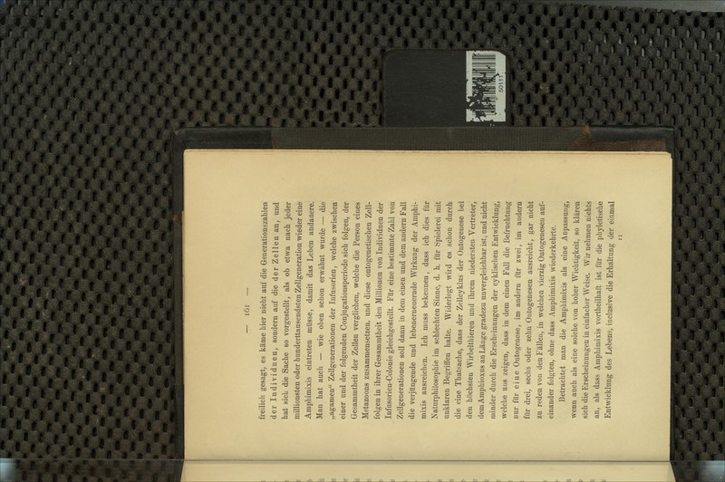 freilich gesagt, es käme liier nicht auf die Generationszahlen der Individuen, sondern auf die der Zellen an, und hat sich die Sache so vorgestellt, als ob etwa nach jeder millionsten oder hunderttausendsten Zellgeneration wieder eine Amphimixis eintreten müsse, damit das Leben andauere. Man hat auch — wie oben schon erwähnt wurde — die „agamen Zellgenerationen der Infusorien, welche zwischen einer und der folgenden Conjugationsperiode sich folgen, der Gesammtheit der Zellen verglichen, welche die Person eines Metazoons zusammensetzen, und diese ontogenetischen Zell- folgen in ihrer Gesammtheit den Millionen von Individuen der Infusorien-Colonie gleichgestellt. Für eine bestimmte Zahl von Zellgeuerationen soll dann in dem einen und dem andern Fall die verjüngende und lebenerneuernde Wirkung der Amphi- mixis ausreichen. Ich muss bekennen, dass ich dies für Naturphilosophie im schlechten Sinne, d. h. für Spielerei mit unklaren Begriffen halte. Widerlegt wird es schon durch die eine Thatsache, dass der Zellcyklus der Ontogenese bei den höchsten Wirbelthieren und ihrem niedersten Vertreter, demAmphioxus an Länge gradezu unvergleichbar ist, und nicht minder durch die Erscheinungen der cyklischen Entwicklung, welche uns zeigen, dass in dem einen Fall die Befruchtung nur für eine Ontogenese, im andern für zwei, im andern für drei, sechs oder zehn Ontogenesen ausreicht, gar nicht zu reden von den Fällen, in welchen vierzig Ontogenesen auf- einander folgten, ohne dass Amphimixis wiederkehrte. Betrachtet man die Amphimixis als eine Anpassung, wenn auch als eine solche von hoher Wichtigkeit, so klären sich die Erscheinungen in einfacher Weise. Wir nehmen nichts an, als dass Amphimixis vortheilhaft ist für die phyletische Entwicklung des Lebens, inclusive die Erhaltung der einmal