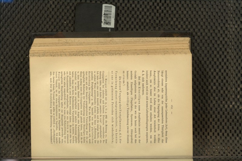 erreichten Anpassungshöhe jeder Lebensform (Art), denn diese hängt ebenso sehr von der unausgesetzten Thätigkeit der Naturzüchtung ab, als die Umprägung der Arten. Je öfter Amphimixis also im Leben einer Art wiederholt werden kann, um so besser wird diese erhalten werden, um so leichter auch wird sie sich neuen Lebensbedingungen anpassen, d. h. sich umformen. Bei den Einzelligen muss Amphimixis zuerst in der Gestalt aufgetreten sein, in der wir sie heute noch bei den meisten Einzelligen (Flagellaten, Sporozoen, Khizopoden) kennen: nämlich als völlige Verschmelzung zweier Bionten zu einem.^) DadieserVorgangderFortpflanzung, d. h. der Vermehrung direct entgegenarbeitet, so konnte er nur in grösseren Perioden sich wiederholen, ^) Maupas schiebt mir (a. a. 0. p. 492) die Meinung zu, dass Conjugation bei niederen und höheren Protozoen verschiedne Be- deutung hätte, und findet diese „maniere de voir „superficielle etc. Ich habe nie eine solche Ansicht gehabt, und die einzige Stelle, die in solcher Weise missverstanden worden sein kann („Bedeutung der sexuellen Fortpflanzung p. 52), handelt von der phyletischen Entstehung der Conjugation. Wer die Stelle nachlesen will, wird dort eine mit aller Reserve ausgesprochene Vermuthung über die ur- sprüngliche Bedeutung der Verschmelzung zweier Einzelligen finden. Einen Anfang muss die Conjugation doch gehabt haben, und da sie in ihrer heutigen Gestalt in meinen Augen eine Variabilitätsquelle bedeutet, so muss sie ursprünglich eine andere Bedeutung gehabt haben, denn um ihren Nachkommen Variabilität zu sichern, werden sich schwerlich je zwei Moneren vereinigt haben. Es muss also hier ein Punctionswechsel stattgefunden, oder wie JDohrn es seinerzeit sehr klar schon ausgedrückt hat: es muss eine Nebenwirkung der ur- sprünglichen Hauptwirkung später zur Hauptsache geworden sein. Maupas nimmt die Conjugation als etwas Gegebenes und macht keinen Versuch, sie als etwas Gewordenes zu begreifen. Ich mache ihm daraus keinen Vorwurf, aber sollte es wirklich so „oberflächlich sein, auch über die Entstehung einer Einrichtung nachzudenken?