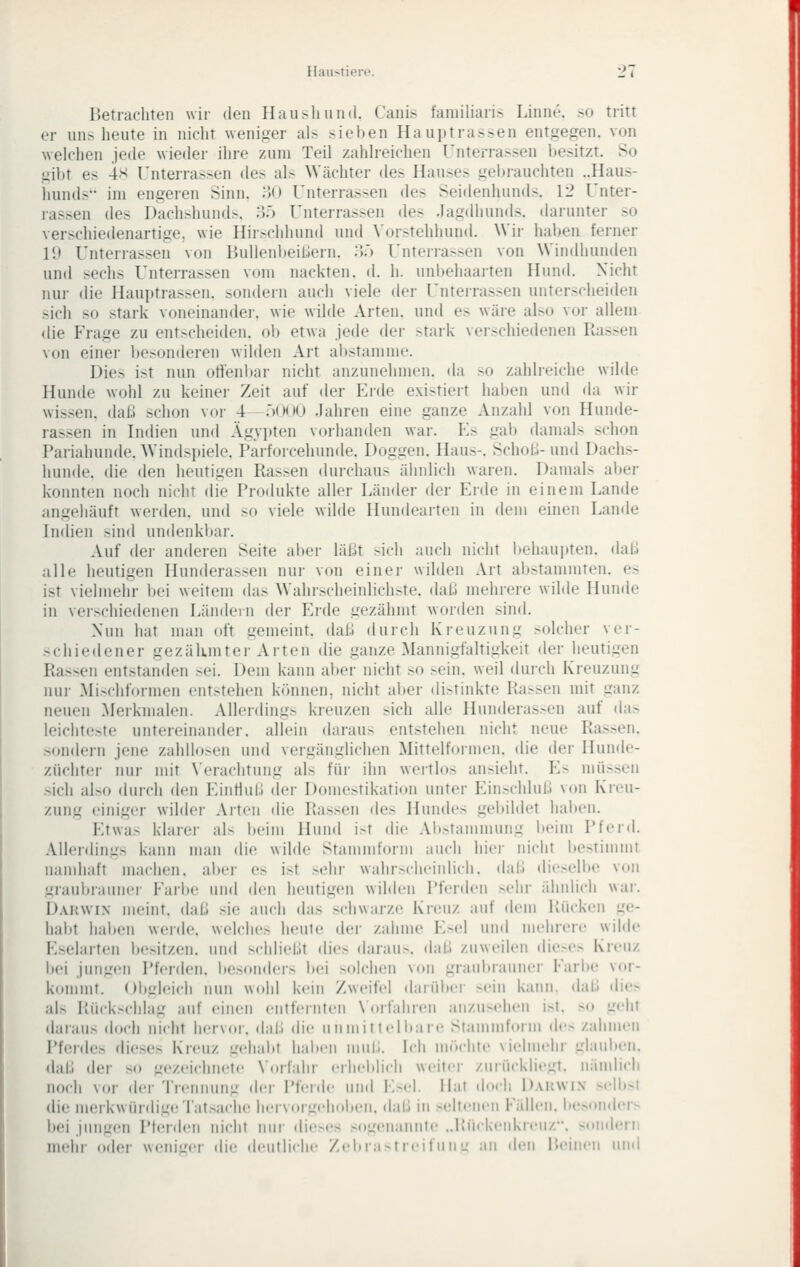 Betrachten wir den Haii>linn(l. Canis faniiliari» Linne. so tritt er uns heute in nicht weniger als sieben Hauptrassen entgegen, von welchen jede wieder ihre zum Teil zahlreichen Unterrassen besitzt. So gil)t es 4'^ Unterrassen des als Wächter des Hauses gebrauchten ..Haus- hunds im engeren Sinn. .'JO Unterrassen des Seidenhunds, V2 Unter- rassen des Dachshunds, of) Unterrassen des Jagdhunds, darunter so verschiedenartige, wie Hir>chhund und ^■orstehhund. Wir haben ferner 11» Unterrassen von BuUenbeitiern. :);') Unterrassen von Windhunden und sechs Unterrassen vom nackten, d. h. unbehaarten Hund. Nicht nui- die Hauptrassen, sondern auch viele der Unterrassen unterscheiden >ich so stark voneinander, wie wilde Arten, und es wäre also vor allem die P'rage zu ent>chei(len. ob etwa jede der stark verschiedenen Rassen von einer besonderen wilden Art abstamme. Dies ist nun otienbar nicht anzunehmen, da so zahlreiche wilde Hunde wohl zu keiner Zeit auf der Erde existiert iiaben und da wir wissen, daß schon vor 4~r)0()0 Jahren eine ganze Anzahl von Hunde- rassen in Indien und Ägypten vorhanden war. P^s gab damals schon Pariahunde. Windspiele. Parforcehunde. Doggen. Haus-. Schoß- und Dachs- hunde, die den heutigen Rassen durchaus ähnlich waren. Danuils aber konnten noch nicht die Produkte aller Länder der Erde in einem Lande angehäuft werden, und so viele wilde Hundearten in dem einen Lande Indien sind undenkbar. Auf der anderen Seite aber läßt sich auch nicht l)ehauitten. daß alle heutigen Hunderassen nur von einer wilden Art abstammten, es ist vielmehr bei weitem das Wahrscheinlichste, daß mehrere wilde Hunde in veischiedenen Ländern der Erde gezähmt worden sind. Nun hat man oft gemeint, daß durch Kreuzung solcher ver- schiedener gezäkmtei-Arten die ganze Mannigfaltigkeit der heutigen Rassen entstanden >ei. Dem kann aber nicht so sein, weil durch Kreuzung nur Mi>chformen entstehen können, nicht aber di>tinkto Kassen mit ganz neuen Merkmalen. Allerding^ kreuzen sich alle Hunderas.-en auf (bis leichteste untereinander, allein darau> entstehen nicht neue Rassen, sondern jene zahllo.-en und vergänglichen Mittelformen, die der Hunde- züchter nur mit \erachtung als für ihn wertlos ansieht. E> müssen .sich also durch den Einfluß der Domestikation unter Einschluß von Kreu- zung einiger wilder Arten die Rassen des Hundes gebildet hai)en. Etwas klarer als beim Hund i>t die Al)stammung beim Pferd. Allerdings kann nuui die wilde Stammform auch hier nicht bestimmt nandiaft machen, aber es ist .sehr wahrscheinlich, daß dieselbe von graubrauner Earbe und den heutigen wilden Pferden .sehr ähnlich war. Dakwin meint, daß .sie auch das schwarze Kreuz auf dem Rücken ge- habt hallen werde, welches heule der zahme Esel und mehrere wiMe Eselarten besitzen, und schließt dies daraus, daß zuweilen die>e.- Kreuz bei jungen Pferden. Itesonders bei solchen von graul)raun('r Earl»e vor- kommt. ()l)gleicli nun wohl kein Zweifel darüber sein kann, daß «lies als Rückschlag auf einen entfernten NOrfaliren anzusehen ist. so geht daraus doch nicht hervor, daß die uninittell»are Stammform de> zahmen Pferdes dieses Kreuz gehabt halten nuii;. Ich ni('»clite vielmehr glaulien. daß der so gezeichnete \«Mlalii- erheldich weiter zurückliegt, nändich noch vor der Trennung (h'r Pferde und Esel. Hat doch D.vuwiN sellot die meikwürdi.ueTatsache hervorgeholien. daß in .seltenen Fidlen. Iiesonders bei jungen Pferden nicht nui dieses .s()g(Miannte ..Kückenkreiiz. sond«!rii mehr adcv wenii^er die deiitliciie /el(ra>treifnii'j ;iii den P.einen und