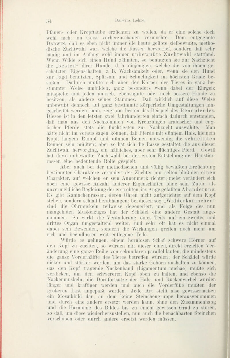 ;'4. Darwins l>('liri>. Pfauen- oder Kroiiftaube eizüeliteii /.u wollen, da er eine solche doch wohl nicht im (ieist vorherzuschauen vei'niochte. Dem ent^^egnete Darwin. dalJ es eben nicht immer die heute geül)te zielhewuläte, metho- dische Zuchtwahl war, welche die Kassen hervorrief, sondein daß ^ehr häufig uml im Anfang wohl immer unbewuiJte Zuchtwahl stattfand. Wenn Wilde sich einen Hund zähmten, so benutzten sie zui' Nachzucht die ..besten'- ihrer Hunde, d. h. diejenigen, welche die von ihnen ge- schätzten Eigenschaften, z. 15. Wachsamkeit oder, wenn sie den Hund zur .lagd benutzten. Si)ürsinn und Schnelligkeit im höchsten (irade lie- sal.ien. Dadurch mußte sich aber der Köri)er des Tieres in ganz l)e- stimmter Weise umbilden, ganz besonders wenn dabei der Ehrgeiz mits])ielte und jeden antrieb, ebensogute oder noch bessere Hunde zu besitzen, als andere seines Stammes. Dal.! wiiklich auf diese Weise unbewußt dennoch auf ganz bestimmte köri)erliche Umgestaltungen hin- gearbeitet werden kann, zeigt am besten das Beisjjiel des Rennpferdes. Dieses ist in den letzten zwei Jahrhunderten einfach dadurch entstanden, daß man aus den Nachkommen von Kreuzungen arabischer und eng- lischer Pferde stets die tiüchtigsten zur Nachzucht auswählte. Man hätte nicht im voraus sagen können, daß Pferde mit dünnem Hals, kleinem Kopf, langem Rumjjf und dünnen Beinen notwendig die schnellsten Renner sein müßten; aber so hat sich die Rasse gestaltet, die aus dieser Zuchtwahl hervorging, ein häßliches, aber sehr tlüchtiges Pferd, (iewiß hat diese unbewußte Zuchtwahl l)ei der ersten Entstehung der Haustier- ras>en eine bedeutende Rolle gesi)ielt. Aber auch bei der methodischen und völlig bewußten Erzüchtung i)estimniter Charaktere verändert d^r Züchter nur selten bloß den einen Charakter, auf welchen er sein Augenmerk richtet; meist verändert sich noch eine gewisse Anzahl anderer Eigenschaften ohne sein Zutun als unvermeidliche Begleitung der erstrebten, ins Auge gefaßten A b ä n d e r u n g. Es gibt Kaninchenrassen, deren Ohren nicht aufgerichtet auf dem Kojtf stehen, sondern schlaff herabhängen; bei diesen sog. ..Widder kanin dien sind die Ohrmuskeln teilweise degeneriert, und als Eolge des nun mangelnden ^luskelzuges hat der Schädel eine andere Gestalt ange- nommen. So wirkt die A'eränderung eines Teils auf ein zweites und drittes Organ umgestaltend weiter, und sehr oft hat es nicht einmal dabei sein Bewenden, sondern die Wii'kungen gleiten iiocii mehi' um sich und beeinflussen weit entlegene Teile. Würde es gelingen, einem hornlosen Schaf schwere Hörner auf den Koiif zu züchten, so würden mit dieser einen, direkt erzielten \'er- änderung eine ganze Reihe von sekundären i)arallel laufen, die mindestens die ganze \'or(lerliälfte des Tieres betreffen würden; der Schädel würde dicker und stärker werden, um das starke (ieliörn aushalten zu kiMinen. das den Kojif tragende Nackenband (Ligamentum nuchae i müßte sich verdicken, um den schwereren Kopf oben zu halten, und el)eiiso die Nackenmuskeln; die Dornfortsätze der Hals- und Rückenwirbel würden länger und kräftiger werden und auch die \'orderfüße müßten der größeren Last angei)aßt werden. Jede Art stellt also gewissermaßen ein Mosaikbild dar. an dem keine Steincheiigrupi)e herausgenommen und durch eine andere ersetzt werden kann, ohne den Zusammenhang und die Harmonie tles Bildes bis zu einem gewissen (Jrad zu stöueii. so daß. um diese wiederherzustellen, nun auch die benachbarten Steinchen verschoben oder durch andere ersetzt werden müssen.