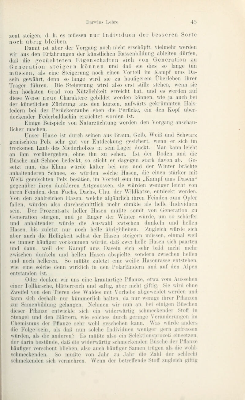 I);ii-\\iii> Lehre. 40 zent Steigen, d. h. es iiiii>sen nur Individuen der besseren Sorte nocli ül>rig bleil)en. Damit ist aber der \'organg noch nicht erschöpft, viehnehr werden wir aus den f]rfalirungen der künsthchen Rassenbihhing ableiten dürfen, (hil.) die gezüchteten Eigenschaften sich von Generation zu (ieneration steigern können und daß sie dies so hinge tun müssen, als eine Steigerung noch einen Vorteil im Kani|)f uni> Da- sein gewcährt. denn so lange wird sie zu häutigerem ri)erlei)en ihrer Träger führen. Die Steigerung wird also erst stille stehen, wenn sie (kMi höchsten (irad von Nützlichkeit erreicht hat, und es werden auf diese Weise neue Charaktere geljildet werden können, wie ja auch bei der künstlichen Züchtung aus den kurzen, aufwärts gekrümmten Hals- federn bei der Perückentaube eben (He Perücke, ein den Kojif ülter- deckender Federlialdachin erzüchtet worden ist. Peinige Peisitiele von Xaturzüchtung werden den Vorgang an>chau- licher machen. Unser Hase ist durch seinen aus Braun, (lell). Weil.! und Schwarz gemischten Pelz sehr gut vor Entdeckung gesichert, wenn er sich im trockenen Laub des Niederholzes in sein Lager duckt. Man kann leicht an ihm vorübergehen, ohne ihn zu sehen. Ist der Boden und die Büsche mit Schnee bedeckt, so sticht er dagegen stark davon ab. Ge- setzt nun, das Klima würde kälter bei uns und der Winter brächte anhaltenderen Schnee, so würden solche Hasen, die einen stärker mit Weiß gemischten Pelz l)esäi;)en. im \'orteil sein im ..Kampf ums Dasein'- gegenüber ihren dunkleren Artgenossen, sie würden weniger leicht von ihren Feinden, dem Fuchs. Dachs. V\m. der Wildkatze, entdeckt werden. \'on den zahlreichen Hasen, welche alljährlich ihren Feinden zum Ojjfer fallen, würden also durchschnittlich mein- dunkle als helle Individuen sein. Der Prozentsatz heller Hasen müßte somit von Generation zu (ieneration steigen, und je länger der Winter würde, um so schärfer und anhaltender würde die Auswahl zwischen dunkeln und hellen Hasen, bis zuletzt nur noch helle übrigblieben. Zugleich würde sich alter auch die Helligkeit selbst der Hasen steigern müssen, einmal weil ('S immer häufiger vorkommen würde, daß zwei helle Hasen sich jtaarten und dann, weil der Kampf ums Dasein sich sehr i)ald nicht mehr zwischen dunkeln und hellen Hasen abspielte, sondern zwischen hellen lind noch helleren. So müßte zuletzt eine weiße Hasenrasse entstehen, wie eine soh-iie denn wirklich in den Polarländern und auf den AIjumi entstanden ist. Oder deidven wir uns eine krautartige Pflanze, etwa vom Aussehen einer 'Jollkirsdie. blätterreich und saftig, aber nicht giftig. Sie wird ohne Zweifel v(»n dan Tieren (h^s Waldes mit N'orlielte al)geweidet werden und kann sich deshalb nur kümmerlich halten, da nur wenige ihrer Pflanzen zur Samenltildung gehuig(Mi. Nehmen wir nun an. Iiei einig(,Mi IJüscIkmi (lieser PHanze (Mitwickle sich ein widerwältig schmeckender Stoff in Stengel und den Bhittern. wi(! solches durch geringe Neränderungen im Chemismus der PHanz(! sehr wohl geschehen kann. Was wünh' anders die Folge sein, als daß nun solche Individuen weniger gein gefressen würden, als die ander(Mr.'' Es müßte also ein Selektionsprozeß einsetzen. der darin iiestünde, daß die wi(l(!rwärtig schmeckenden P.iische der Ptlan/.e häufiger verschont blieben, also aucii häufig(!r Samen trügen als die wohl- schmeckenden. So müßte von .fahr zu .lalir die Zahl der schlecht schmekenden sich veiniehreii. Wenn der betrcllende StotV zugleich giftii: