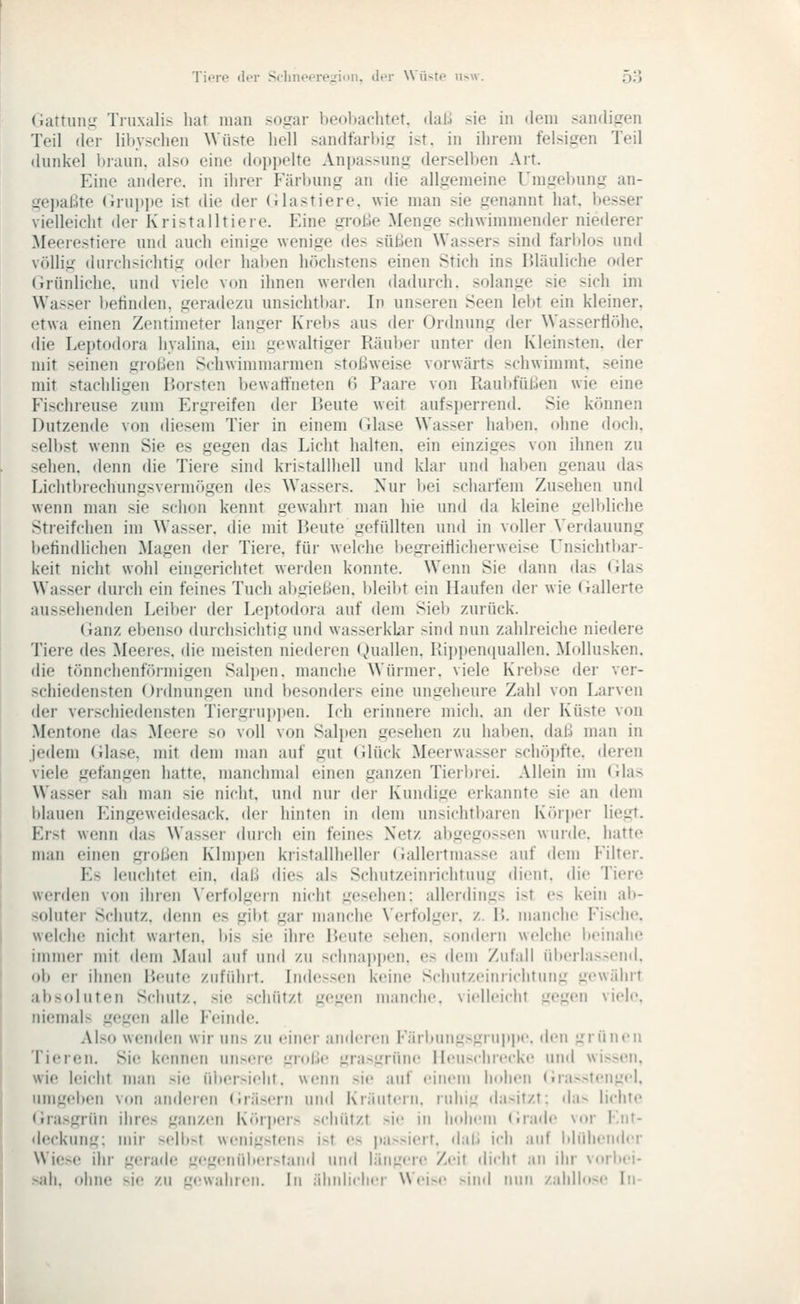 Gattung Tiuxalis hat man >o,<iar beobachtet, (lal.1 sie in dem sandigen Teil der libyschen Wüste hell sandfarl)ig ist. in ihrem felsigen Teil dunkel braun, also eine doppelte Anpassung derselben Art. Eine andere, in ihrer Färbung an die allgemeine Umgel)ung an- gepaßte Gruppe ist die der (ilastiere, wie man sie genannt hat. besser vielleicht der Kristailtiere. Eine große Menge schwimmender niederer Meerestiere und auch einige wenige des süßen Wassers sind farblos und völlig durchsichtig oder haben höchstens einen Stich ins bläuliche oder (Grünliche, und viele von ihnen werden dadurch, solange sie sich im Wasser Ijehnden, geradezu unsiclitl)ai'. In unseren Seen lebt ein kleiner, etwa einen Zentimeter langer Krel)s aus der Ordnung der Wassertlöhe. die Leptodora hyalina, ein gewaltiger Räubei- unter den Kleinsten, der mit seinen großen Schwimmarmen stoßweise vorwärts schwimmt, seine mit stachligen Borsten bewaffneten ß Paare von Raubfüßen wie eine Fischreuse zum Ergreifen der Reute weit aufsperrend. Sie können Dutzende von diesem Tier in einem Glase Wasser haben, ohne doch, selbst wenn Sie es gegen das Licht halten, ein einziges von ihnen zu sehen, denn die Tiere sind kristallhell und klar und haben genau das Lichtbrechungsvermögen des Wassers. Nur bei scharfem Zusehen und wenn man sie schon kennt gewahrt man hie und da kleine gelbliche Streifchen im Wasser, die mit Reute gefüllten und in voller Verdauung befindlichen Magen der Tiere, für welche begi-eitlicherweise Unsichtbar- keit nicht wohl eingerichtet werden konnte. Wenn Sie dann das (Was Wasser durch ein feines Tuch abgießen. Ideibt ein Haufen der wie (Gallerte aussehenden Leiber der Leptodora auf dem Sieb zurück. (ianz ebenso duichsichtig und wasserklar sind nun zahlreiche niedere Tiere des Meeres, die meisten niederen (^)uallen. Ri])pen(iuallon. Mollusken, die tönnchenförmigen Salpen. manche Wüi'mer. viele Kiel)se der ver- schiedensten Ordnungen und besonders eine ungeheure Zahl von Larven der verschiedensten Tiergrui)])en. Ich erinnere mich, an der Küste von Mentone das Meere so voll von Sali)en gesehen zu haben, daß man in jedem (ilase, mit dem man auf gut (Uück Meerwasser schöpfte, deren viele gefangen hatte, manchmal einen ganzen Tierl)rei. Allein im (ilas Wasser sah man sie nicht, und nur der Kundige erkannte sie an dem l)lauen lungewcidesack, der hinten in dem unsichtbaren Körper liegt. Erst wenn das Wassei- duich ein feines Netz abgegossen wurde, hatte man einen großen Klmpen kristallheller Gallertmasse auf dem Filter. Es leuchtet ein. daß dies als Schutzeinrichtung dient, die Tiere werden von ihren Verfolgern nicht gesehen: allerdings ist es kein ab- soluter Schutz, denn es gibt gar manche Verfolger, z. R. manche Fische, welche nicht warten, bis sie ihre Reute sehen, sondern welche lieinalie immer mit dem Maul auf und /.u schnai)i)en. es dem Zufall überlas.-end. ob er ihnen Reute zuführt. Indessen keine Schutzeinrichtung gewährt absoluten Schutz, sie schützt gegen man<'he. vielleicht gegen viele, nienials gegen alle Feinde. Also wenden wir uns zu einer anderen FäriMing>gruitpe. den grünen Tieren. Sie kennen unsere große grasgrüne Heuschrecke und wissen. wie leicht man sie üi)ersielit. wenn sie auf einem Indien (;ra>stengel, umgeben von amieren Gräsern und Kräutern, ruhig dasitzt: das lichte Grasgrün ihres ganzen KTupers schützt sie in hohem (irade vor Ent- deckung: mir selbst wenigstens ist es passiert, ilail ich auf blühender Wiese ihr gera<le gegenüber>tand nn«! längere Zeit ilichf an ihr vorbei- sah, ohne sie zu gewahren. In äliniiciier U ei-e >ind mm zahllose In-