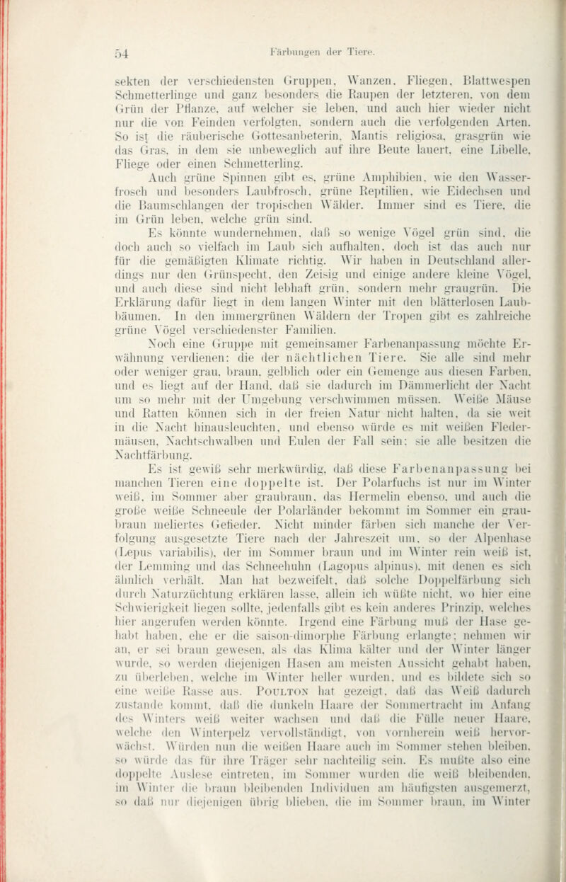 Sekten der ver>('liiedensteii drupiten. Wanzen. Flie.uen, Iilattwespen Schmetterlinjje und ganz besondei's die Raupen der letzteren, von dem (irün der Ptlanze. auf welcher sie leben, und auch hier wieder nicht nur die von Feinden veifolgten. sondern auch die verfolgenden Arten. So ist die räuberische Gottesanbeterin. Mantis religiosa, grasgrün wie das Gras, in dem sie unbeweglich auf ihre P)eute lauert, eine Libelle. Fliege oder einen Schmetterling. Auch grüne Spinnen gibt es. grüne Ami)hil)ien. wie den Wasser- frosch und besonders Laubfrosch, grüne Kei»tilien. wie Eidechsen und die Baumschlangen der tioi>isclien Wälder. Immer sind es Tiere, die im Grün leben, welche grün sind. Es könnte wundernehmen, dal) h) wenige ^'ögel grün sind, die doch auch so vielfach im Laub sich aufhalten, doch ist das auch nur für die gemäßigten Kliniate richtig. Wir haben in Deutschland aller- dings nur den (Grünspecht, den Zeisig und einige andere kleine Vögel, und auch diese sind nicht lebhaft grün, sondern mehr graugrün. Die Erklärung dafür liegt in dem langen Winter mit den blätterlosen Laub- bäumen. In den immergrünen Wäldern der Trojten gibt es zahlreiche grüne \'ögel verschiedenster Familien. Noch eine Gruppe mit gemeinsamer Farbenanpassung möchte Ei- wähnung verdienen: die der nächtlichen Tiere. Sie alle sind mehr oder weniger grau, braun, gelblich oder ein Gemenge aus diesen Farben, und es liegt auf der Hand, daß sie dadurch im Dämmerlicht der Nacht um so mein- mit der Umgebung veischwimmen müssen. Weiße Mäuse und Ratten können sich in der freien Natur nicht halten, da sie weit in die Nacht hinausleuchten, und ebenso würde es mit weißen Fleder- mäusen. Nachtschwall)en und Eulen der Fall sein: sie alle besitzen die Nachtfärljung. f]s ist gewiß sehr merkwürdig, daß diese Farbenanpassung bei manchen Tieren eine dojipelte ist. Der Polaifuchs ist nur im Winter weiß, im Sommer aber graultraun. das Heiinelin ebenso, und auch die gi'oße weiße Schneeule der Polarländer liekomint im Sommer ein grau- biaun meliertes (Jefieder. Nicht minder färben sich manche der Ver- folgung ausgesetzte Tiere nach der Jahreszeit um. so der Alpenhase (Lei»us vaiiabilis). der im Sommer braun und im Winter rein weiß ist. der Lemming und das Schneehuhn (Lagopus alpinus). mit denen es sich ähnlich verhält. Man hat bezweifelt, (laß solche Doppelfärlnmg sich durch Natuizüchtung erklären lasse, allein ich wüßte nicht, wo hier eine Schwierigkeit liegen sollte, jedenfalls gibt es kein anderes Prinzip, welches hier angerufen werden könnte. Irgend eine P'ärlning muß der Hase ge- habt haben, ehe er die saison-dimorjjhe Färbung erlangte: nehmen wir an, er sei braun gewesen, als das Klima kälter und der Winter länger wurde, so werden diejenigen Hasen am meisten xVussicht gehabt haben, zu ülierleben. welche im Winter heller wurden, und es bildete sich so eine weiße Rasse aus. Poulton hat gezeigt, daß das Weiß dadurch zustande kommt, daß die dunkeln Haare der Sommertracht im Anfang des Winters weiß weiter wachsen uml daß die Fülle neuer Haare, welche den Winterpelz vervollständigt, von vornherein weiß hervor- wäch>t. Wüiden mm die weißen Haare auch im Sommer stehen bleiben, so würde das für ihre Träger .sein- nachteilig sein. Es mußte also eine dojjlielte Auslese eintreten, im Sommer wurden die weiß l)leibenden. im Winter die braun Ideibenden Individuen am häutigsten ausgemerzt, >o (lall mir diejenigen übrig blieben, die im Sommer braun, im Winter