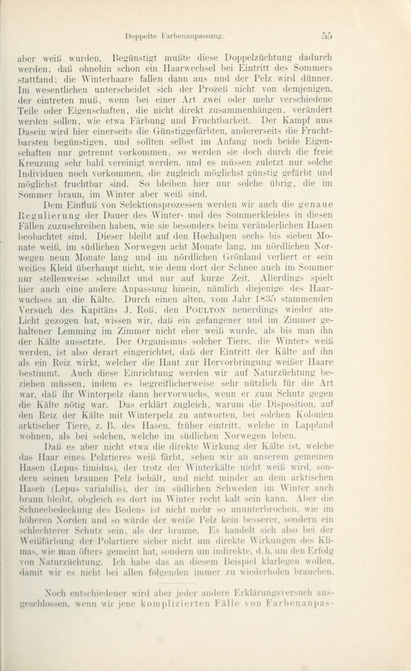 aber weiß wurden. Bef,äinsticrt imil-lte diese Doppelzüchtung dadurch werden, daß olinehin schon ein Haarwechsel bei Eintritt des Sommers stattfand: die Winteihaare fallen dann aus und der Pelz wird dünner. Im wesentlichen unterscheidet sich der Prozeß nicht von demjenigen, dei- eintreten muß. wenn bei einer Ait zwei oder mehr verschiedene Teile oder Eigenschaften, die nicht direkt zusammenhängen, verändert werden sollen, wie etwa Fär1)ung unrl Fruchtlniikeit. Der Kamjif ums Dasein wird hier einerseits (Ue (ninstiggefärbten. anderer>eit.-^ die Frucht- barsten l»egünstigen. und sollten selbst im Anfang noch beide P^igen- schaften nur getrennt vorkommen, so werden sie doch durch die freie Kreuzung sehr bald vereinigt werden, und es müssen zuletzt nur solche Individuen noch vorkommen, die zugleich möglichst günstig gefärl)t und m«)glichst fruclitl)ai- sind. So bleiben hier nur solche ül»rig. die im Sommer l)raun, im Winter aber weiß sind. Dem Einfluß von Selektionsjjiozessen werden wir auch die genaue Regulierung der Dauer des Winter- und des Sommerkleides in diesen Fällen zuzusclireil)en haben, wie sie l)esonders beim veränderlichen Hasen beobachtet sind. Dieser l)leibt auf den Hochalpen sechs bis sieben Mo- nate weiß, im südlichen Norwegen acht Monate lang, im nördlichen Nor- wegen neun Monate lang und im nördüchen Grönland verliert er sein weißes Kleid überhaupt nicht, wie denn dort der Schnee auch im Sommer nur stellenweise .-chmilzt und nur auf kurze Zeit. Allerdings spielt hiei- auch eine andere Anpassung hinein, nämlich diejenige des Haar- wuchses an die Kälte. Durch einen alten, vom Jahr \x'.\'} stammenden \'ersucli des Kapitäns J. Roß. den Poultox neuerdings wieder ans Licht gezogen hat. wissen wir. daß ein gefangener und im Zimmer ge- haltener Lemming im Zimmer nicht eher weiß wurde, als bis man ihn dei- Kälte aussetzte. Der Organismus solcher Tiere, die Winters weiß werden, ist also derait eingerichtet, daß der Eintritt der Kälte auf ihn als ein Reiz wirkt, welcher die Haut zur Ilervorbringung weißer Haare l)estimmt. Auch diese Einrichtung werden wir auf Naturzüchtung be- ziehen müssen, indem e> begreiflicherweise sehr nützlich für die Art war. (hiß ihr Winterpelz dann hervorwuchs, wenn er zum Schutz gegen die Kälte nötig war. Das erklärt zugleich, warum die Disi)Osition. auf den Reiz der Kälte mit Winterpelz zu antworten. l)ei solchen Kolonien arktischer Tiere, z. P>. des Hasen, früher eintritt, welche in Lai»it!aiid wohnen, als bei solchen, welche im südlichen Norwegen lei)en. Daß es al)er nicht etwa die direkte Wirkung der Kälte ist. welche das Haar eines Pelztieres weiß färbt. >ehen wir an unserem gemeinen Hasen (Le])us tinii(hi>). der trotz der Winterkälte niciit weiß wird, son- dern seinen braunen Pelz behält, und nicht minder an dem arktischen Hasen (Lei»u> variabilis). der im südbchen Schweden im Winter auch braun Idcibt. obi^lcich es dort im Winter recht kalt sein kann. .Vber die Schneebedeckung de.- liodens ist nicht mehr s(» ununterbrochen, wie im höheren Norden uiul >o wünU^ der weiße Pelz kein liesserer. somlern ein .schleciiterer Schutz >ein. als der braune. Es liandelt sich also bei der Weißfärbung der Polartiere siclier niciit um direktem Wirkungen (le> Kli- ma.-, wie man öfters gemeint hat. sondern um indirekte, d.h. um den Erfolg von Naturzüchtung. Ich habe das an diesem Heis|)iel klarlegen wollen. <lamit wir es nicht iiei allen folgenden inuuer zu wiederh(den lirauchen. Noch entx-liie'lener wird ;ii»er jeder iindeic l,rkl;iniiii:>\er-iicli au.— geschlos.sen. wenn wir jene koin pli/iert en l'ällr \(iii l-'aibena npa.>-