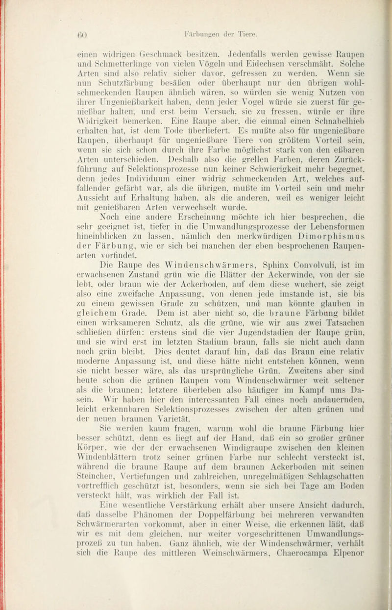 Cd Kärlimmeii der Tiero. einen widrigen (iex'liniack liesit/.en. Jedenfalls werden izewisse Kanjien und Sclinietterlin.ue von vielen \'ögeln und Eidechsen veisclimäiit. Solche Arten sind also relativ sicher davor, gefressen zu werden. Wenn sie nun Sfhutzfäihung besäßen oder überhaupt nur den übrigen wohl- schmeckenden Raupen ähnlich wären, so würden sie wenig Nutzen von ihrer rngenießbarkeit haben, denn jeder Vogel würde sie zuei-st für ge- nieHl)ar halten, und erst beim Versuch, sie zu fressen, würde er ihre Widrigkeit l)emerken. Eine Raui)e aber, die einmal einen Schnabelhieb erhalten hat, ist dem Tode üi)erliefert. Es mußte also für ungenießbare Raui)en. überhaui)t für ungenießbai-e Tiere von größtem \'oiteil sein, wenn sie sich schon durch ihre Earbe möglichst stark von den eßbaren Arten unterschieden. Deshall) also die grellen Farben, deren Zurück- führung auf Selektionsi)rozesse nun keiner Schwierigkeit mehr begegnet, denn jedes Individuum einer widrig schmeckenden Art, welches auf- fallender gefärbt war. als die übrigen, mußte im \'orteil sein und mehr Aussicht auf Erhaltung haben, als die anderen, weil es weniger leicht mit genießbaren Arten verwechselt wurde. Noch eine andere Erscheinung möchte ich hier besprechen, die sehr geeignet ist. tiefer in die Uniwandlungsprozesse der Lebensformen hineinblicken zu lassen, nämlich den merkwürdigen Dimorphismus der P'ärbung, wie er sich bei manchen der eben besprochenen Raupen- arten vorfindet. Die Raupe des Windenschwärmers. Sphinx Convolvuli. ist im erwachsenen Zustand grün wie die Blätter der Ackerwinde, von der sie lebt, odei' braun wie der Ackerboden, auf dem diese wuchert, sie zeigt also eine zweifache Ani)assung, von denen jede imstande ist, sie bis zu einem gewissen Grade zu schützen, und man könnte glauben in gleichem (irade. Dem ist aber nicht so, die braune Färl)ung bildet einen wirksameren Schutz, als die grüne, wie wir aus zwei Tatsachen schließen dürfen: erstens sind die vier Jugendstadien der Raupe grün, und sie wird erst im letzten Stadium braun, falls sie nicht auch dann noch grün bleibt. Dies deutet darauf hin, daß das Rraun eine relativ moderne Anpassung ist, und diese hätte nicht entstehen kchinen. wenn sie nicht besser wäre, als das ursprüngliche (irün. Zweitens aber sind heute schon die grünen Raujien vom Windenschwärmer weit seltener als die l)raunen; letztere überleben also häufiger im Kam])f ums Da- sein. Wir haben hier den interessanten Fall eines noch andauernden, leicht erkennbaren Selektionsprozesses zwischen der alten grünen und der neuen braunen \aiietät. Sie werden kaum fragen, warum wohl die braune Färbung hier besser schützt, denn es liegt auf der Hand, daß ein so großer grüner Körper, wie der der erwachsenen Windigraupe zwischen den kleinen Wiiidciiblättern trotz seiner grünen Farbe nur schlecht versteckt ist. während die l>raune Raupe auf dem l)raunen Ackerl)oden mit seinen Stcincliei', \'ertiefiiiigen und zahlreichen, unregelmäßigen Schlagschatten vortreftlich geschützt ist. besonders, wenn sie sich bei Tage am Roden versteckt hält, was wirklich der Fall ist. Eine wesentliche \erstärkung erhält aber uii>ere Ansicht dadurch, daß dasselbe Phänomen der Do])p('ltail>iiiig l)ei mehreren verwandten Schwärmerarten vorkommt, al)er in einer Weise, die erkennen läßt, daß wir es mit dem gleichen, nur weiter vorgeschrittenen Fmwandlungs- prozeß zu tun haben, (ianz ähnlich, wie der Wiiidenschwärmer. verhält sicii die Raupe des mittleren Weiiix-hwäniiers. (liaerocamiia Elpenor