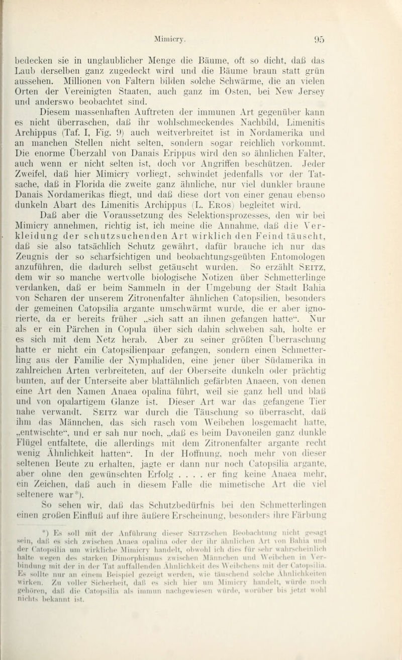 bedecken sie in unglaublicher Menge die Häunie, oft so dicht, daß das Laub derselben ganz zugedeckt wird und die liäunie braun statt grün aussehen. Millionen von Faltern bilden solche Schwärme, die an vielen Orten der Vereinigten Staaten, auch ganz im Osten, bei New Jersey und anderswo beobachtet sind. Diesem massenhaften Auftreten der immunen Art gegenüber kann es niclit überraschen, daß ihr wohlschmeckendes Nachbild. Limenitis Archippus (Taf. I, Fig. 1») auch weitverbreitet ist in Nordamerika und an manchen Stellen nicht selten, sondern sogar reichlich vorkommt. Die enorme Überzahl von Danais Erii)pus wird den so ähnlichen Falter, auch wenn er nicht selten ist. doch vor Angi-itien Iteschützen. Jeder Zweifel, daß hier Mimicry vorliegt, schwindet jedenfalls vor dei- Tat- sache, daß in Florida die zweite ganz ähnliche, nur viel dunkler 1 »raune Danais Nordamerikas fliegt, und daß diese dort von einer genau eben>(> dunkeln Abart des Limenitis Archippus iL. Erosi begleitet wird. Daß aber die \'oraussetzung des Selektionsprozesses, den wir l)ei Mimicry annehmen, richtig ist, ich meine die Annahme, daß die Xer- kleidung der schutzsuchenden Art wirklich den Feind täuscht, daß sie also tatsächlich Schutz gewährt, dafür brauche ich nur das Zeugnis der so scharfsichtigen und l)eobachtungsgeübten Flntomologen anzuführen, die dadurch selbst getäuscht wurden. So erzählt Seitz. dem wir so manche wertvolle biologische Notizen über Schmetterlinge verdanken, daß er beim Sammeln in der rmgel)ung der Stadt Dahia von Scharen der unserem Zitionenfalter ähnlichen Catopsilien. besonders der gemeinen Catojjsilia argante umschwärmt wurde, die er aber igno- i'ierte, da er l)ereits früher „sich satt an ihnen gefangen hatte. Nur als er ein Pärchen in Cojjula über sich dahin schweben sah. holte er es sich mit dem Netz heiab. Aber zu seiner größten t'berraschung hatte er nicht ein Catoi)silien])aar gefangen, sondern einen Schmettei- ling aus der Familie der Nynii)halid('n, eine jener ül»er Südamerika in zahlreichen Arten verbreiteten, auf dei- Oberseite dunkeln oder prächtig bunten, auf dei- Unterseite aber blattähnlich gefärbten Anaeen. von denen eine Art den Namen Anaea opalina führt, weil sie ganz hell und blaß und von opalartigem (jlanze ist. Dieser Art war das gefangene Tier nahe verwandt. Seitz war durch die Täuschung so überrascht, daß ihm das Männchen, das sich rasch vom Weibchen losgemacht hatte, ..entwischte, und er sah nui- noch, „daß es beim Davoneilen ganz dunkle Flügel entfaltete, die allerdings mit dem Zitronenfalter argante recht wenig Ähnlichkeit hatten. In der Ilotfnung. noch mehr von dieser seltenen Leute zu erhalten, jagte er dann nur noch C'atopsilia argante. aber ohne den gewünschten Erfolg .... ei- fing keine Anaea mehr, ein Zeichen, daß auch in (bCsciii Falle die niimeti>clie Ait die viel seltenere war*). So sehen wir. daß das Schutzbedürfnis l»ei den Schmetterlingen einen großen Einfluß auf ihre äußere Erscheinung. l»esunders ihre Färbung *) !•;> Mill mit (Ici- Aiifuliriiii.L: diocr Si;i r/x-lii-ii Itcoliaclilmiir iiidit iii'-^n-jcl -»•in, ihii; CS -icli /wisrlicn .\n,ii';i <i|i:iliii;i utirr ilcr ilir iilmliclu-ii Art m>ii Kaliia iiiiil I (In- Cafipsilia iiiii wiikli.lic Miiniciv liaiidrll. ..l.wnlil idi ili.> für M-lir walirMli.Miilirli I lialtc wi'fTfn des starkfii DiiiKprpliisnms /.«iscliiMi MiimirlnMi iiiiil Wriliclirii in \ rr- liindmijr mit d<T in d<T Tat anlTall.-ndrn Alinliclikcit .Ic^ \V.'il.(lifn> mit drr CatopMlia. Es sollte nur an cini-m Ut-ispii-l {.'t'/.i'i^rt werden, wie tihiMliend solche AliniicIiUeilen wirken, /n voller Siciierlieit, dali es sicli liier um Mimicrv handelt, würde noch gHiön-n, dnli die Catop^ilia aK immun nailiirewiesen würde, wondier hi^ jetzt wohl nichts liekannt i>t.