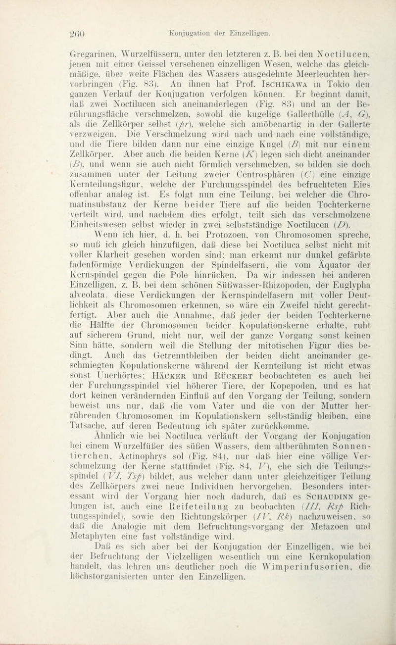 2(30 Koiiju,u:ation der Einzollitren. Gregarinen, Wiirzelfüssern. unter den letzteren z. B. bei den Xoctilucen, jenen mit einer Geissei versehenen einzelneren Wesen, welche das i^leich- mäßige. übei' weite Flächen des Wassers ausgedehnte Meerleuchten her- vorbringen (Fig. s;5). An ihnen hat Prof. Ischikawa in Tokio den ganzen Verlauf der Konjugation verfolgen können. Er beginnt damit, (laß zwei Noctilucen sich aneinanderlegen (Fig. X'A) und an der l>e- rühruug.stiäche verschmelzen, sowohl die kugelige (iallerthülle {A, G). als die Zellköipei- selbst (/;-). welche sich amöbenartig in der Gallerte verzweigen. Die Verschmelzung wird nach und nach eine vollständige, und die Tiere bilden dann nur eine einzige Kugel (B) mit nur einem Zellkörper. Aber auch die beiden Kerne (K) legen sich dicht aneinander (B). und wenn sie auch nicht förmlich verschmelzen, so bilden sie doch zusammen unter der Leitung zweier Centrosphären {Ci eine einzige Kernteilungsfigur, welche der Furchungsspindel des befruchteten Eies offenbar analog ist. Es folgt nun eine Teilung, bei welcher die Chro- matinsubstanz der Kerne beider Tiere auf die lieiden Tochterkerne verteilt wird, und nachdem dies erfolgt, teilt sich das verschmolzene Einheitswesen selbst wieder in zwei selbstständige Xoctilucen (D). Wenn ich hier. d. h. bei Protozoen, von Chromosomen spreche. so muß ich gleich hinzufügen, daß diese bei Noctihica selbst nicht mir voller Klarheit gesehen worden sind: man erkennt nur dunkel gefärbte fadenföiinige Verdickungen der Spindelfasern, die vom Acpiator der Kernspindel gegen die Pole hinrücken. Da wir indessen bei anderen Einzelligen, z. H. bei dem scluhien Süßwasser-Rliizopoden. der Euglypha alveolata. diese Verdickungen der Kernsi)indelfasern nut voller Deut- lichkeit als Chromosomen erkennen, so wäre ein Zweifel nicht gerecht- fertigt. Aber auch die Annahme, daß jeder der beiden Tochterkerne die Hälfte der Chromosomen beider Kopulationskerne erhalte, ruht auf sicherem Grund, nicht nur, weil der ganze \'organg sonst keinen Sinn hätte, sondern weil die Stellung der mitotischen Figur dies be- dingt. Auch das Getrenntl)leil»en der beiden dicht aneinander ge- schmiegten Kopulationskerne während der Kernteilung ist nicht etwas sonst Unerhörtes: Hacker und Rüokert beobachteten es auch bei der Furchungssi)indel viel iKiherei- Tiere, der Kopepoden. und es hat dort keinen verändernden Einfluß auf den Vorgang der Teilung, sondern beweist uns nur, daß die vom N'ater und die vou der IMutter her- rührenden Chromosomen im Kopulationskern selbständig bleiben, eine Tatsache, auf deren Bedeutung ich später zurückkomme. Ähnlich wie bei Noctiluca verläuft der \'organg der Konjugation liei einem Wurzelfüßer des süßen Wassers, dem alti)eridnnten Sonnen- tierchen, Actinophrys sol (Fig. S4), nur daß hier eine völlige Ver- schmelzung der Kerne stattfindet (Fig. S4. D. ehe sich die Teilungs- si)indel ( V/, Ts/>) l)ildet, aus welcher dann untei- gleichzeitiger Teilung des Zellkörpers zwei neue Individuen hervorgehen. Besonders iuter- essant wird der Vorgang hier noch dadurch, daß es Schaudinn ge- lungen ist, auch eine Keifeteilung zu beobachten (///. Rs/> Ricli- tungsspindel;, sowie den Richtungsköiper (//'. /./') naclizuweisen. >o daß die Analogie mit dem Befruchtungsvorgang der Metazoen und iMetaphyten eine fast vollständige wird. Daß es sich aber bei der Konjugation der Einzelligen, wie bei der Befruchtung der Vielzelligen wesentlich um eine Kernkopulation handelt, das lehren uns deutlicher noch die Wimperinfusorien, die höc.listorganisi(Mten unter den Eiiizelliuen.