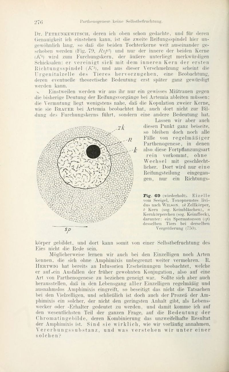 27 H I'artlH'niiir(>neso k* Dr. Petruxkewitsch. deren ich oben sclioii j^edaclitc und füi' deicii (ienaiii.irkeit ich einstehen kann, ist die zweite Reifun.ussi)indel hier un- jiewrdmlich lang, so dati die beiden Tochterkerne weit auseinander ge- schoben werden (Fig. 70. Rsp-) und nur der innere der beiden Kerne (fO) wird zum Furcluingskein. dei- äußere unterhegt merkwürdigen Schicksalen: er vereinigt sich mit dem inneren Kern der ersten Kichtungsspindel (A'-), und aus dieser \'erschnielzung scheint die Urgenitalzelle des Tieres hervorzugehen, eine Beobachtung, deren eventuelle theoretische Bedeutung erst später ganz gewürdigt werden kann. V Einstweilen werden wir aus ihr nur ein gewisses Mißtrauen gegen die bisherige Deutung der Reifungsvorgänge bei Aitemia al)leiten müssen: die \'eimutung liegt wenigstens nahe, daß die Kopulation zweier Kerne, wie sie Brauer l)ei Artemia beobachtet hat. auch dort nicht zur Bil- dung des Furchungskerns führt, sondern eine andere Bedeutung hat. Lassen wir aber auch Mm^ ^n -^'k diesen Punkt ganz beiseite. so bleiben doch noch alle Fälle von regelmäßiger Parthenogenese, in denen also diese Forti)flanzungsart rein vorkommt, ohne Wechsel mit geschlecht- licher. Dort wird nur eine Reilungsteilung eingegan- gen, nur ein Richtungs- '/> , .^ rig-. 69 (wiederholtI. Eizelle ^':^>7 vom Seeifipl, Toxopneustes livi- ^\^^' dus nach Wilson, zk Zellkörper, •^ k Kern (so<r. Keinililäschen), // Kernkörperchen (soi:. Keiinfleck), darnnter: ein Spermatozoon (sp) desselhen Tiers bei derselben Verfrrößerung (T.IO). kr»ii»er gebildet, und doit kann somit von einer Selbstbefruchtung des Eies nicht die Retle sein. M()glicherweise lernen wir auch bei den Einzelligen noch Arten kennen, die sich ohne Amphimixis unbegienzt weiter vermehren. R. IIertwig hat bereits an Infusorien Eischeinungen beobachtet, welche er auf .ein Ausfallen der früher gewohnten Konjugation, also auf eine Art von Parthenogenese zu beziehen geneigt war. Sollte sich aber auch herausstellen, daß in den Lebensgang aller Einzelligen regelmäßig und ausnahmslos Amphimixis eingreift, so beseitigt das nicht die Tatsachen bei den Vielzelligen, und schließlich ist doch auch der Prozeß der Am- phimixis ein solcher, der nicht den geringsten Aidialt gibt, als Lebens- wecker oder -pjhalter gedeutet zu werden, und damit komme ich auf den wesentlichsten Teil der ganzen Frage, auf die Bedeutung der Chromatingel)ilde. deren Kombinierung das unzweifelhafte Resultat der Ami)himixis ist. Sind sie wirklich, wie wir vorläufig annahmen. Vereibun gssu bstan z, und was v eist eben wir unter einer solchen?