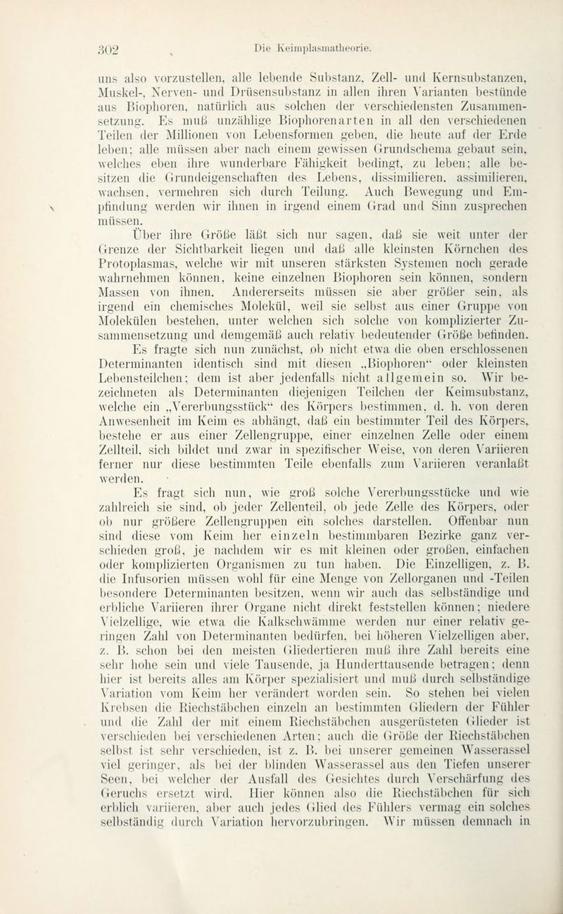 uns also vorzustellen, alle lebende Substanz. Zell- und Kernsubstanzen, Muskel-, Nerven- und Di'üsensubstanz in allen ihren \'arianten bestünde aus lMoi)lioren, natürlich aus solchen der verschiedensten Zusammen- setzung. Es muß unzählige Biojjhorenarten in all den verschiedenen Teilen der Millionen von Lebensformen geben, die heute auf der Erde leben; alle müssen aber nach einem gewissen Grundschema gebaut sein, welches eben ihre wunderbai'e Fähigkeit bedingt, zu leben; alle be- sitzen die Grundeigenschaften des Lebens, dissimilieren, assimilieren, wachsen, vermehren sich durch Teilung. Auch Bewegung und Em- l)findung werden wir ihnen in irgend einem Grad und Sinn zusjjrechen müssen. Über ihre Größe läßt sich nur sagen, daß sie weit unter der (irenze der Sichtbarkeit liegen und daß alle kleinsten Körnchen des Protoplasmas, welche wir mit unseren stärksten Systemen noch gerade wahrnehmen können, keine einzelnen Biophoren sein können, sondern Massen von ihnen. Andererseits müssen sie aber größer sein, als irgend ein chemisches Molekül, weil sie selbst aus einer Gruppe von Molekülen bestehen, unter welchen sich solche von komplizierter Zu- sammensetzung und demgemäß auch relativ bedeutender Größe befinden. Es fragte sich nun zunächst, ob nicht etwa die oben erschlossenen Determinanten identisch sind mit diesen .,Biophoren oder kleinsten Lebensteilchen; dem ist aber jedenfalls nicht allgemein so. Wir be- zeichneten als Determinanten diejenigen Teilchen der Keimsubstanz, welche ein „Vererbungsstück des Körpers bestimmen, d. h. von deren Anwesenheit im Keim es abhängt, daß ein bestimmter Teil des Körpers, bestehe er aus einer Zellengrup])e, einer einzelnen Zelle oder einem Zellteil, sich bildet und zwar in spezifischer Weise, von dei'en \'ariieren ferner nur diese bestimmten Teile ebenfalls zum \'ariieren veranlaßt werden. Es fragt sich nun, wie groß solche \'ererbungsstücke und wie zahlreich sie sind, ob jeder Zellenteil, ob jede Zelle des Körpers, oder ob nur größere Zellengruppen ein solches darstellen. Offenbar nun sind diese vom Keim her einzeln bestimmbaren Bezirke ganz ver- schieden groß, je nachdem wir es mit kleinen oder großen, einfachen oder komplizierten Organismen zu tun haben. Die Einzelligen, z. B. die Infusorien müssen wohl für eine Menge von Zellorganen und -Teilen besondere Determinanten besitzen, wenn wir auch das selbständige und erbliche Variieren ihrer Organe nicht direkt feststellen können: niedere Vielzellige, wie etwa die Kalkschwämme werden nur einer relativ ge- ringen Zahl von Determinanten bedürfen, bei hr)heren \'ielzelligen aber. z. B. schon bei den meisten Gliedertieren muß ihre Zahl bereits eine sehr hohe sein und viele Tausende, ja Hunderttausende betragen: denn hier ist bereits alles am Kf'uper spezialisiert und muß durch selbständige \'ariation vom Keim her veiändert worden sein. So stehen l)ei vielen Krebsen die Kiechstäbchen einzeln an bestimmten (Jliedern der Fühler und die Zahl der mit einem Riechstäbchen ausgei'üsteten (ilieder ist verschieden bei verschiedenen Arten; auch die (iröße der Kiechstäi)chen selbst ist sehr verschieden, ist z. B. bei unserer gemeinen Wasserassel viel geringer, als bei der blinden Wasserassel aus den Tiefen unserer Seen, bei welcher der Ausfall des Gesichtes durch Verschärfung des Geruchs ersetzt wiid. Hier können also die Riechstäl)chen für sich erblich variieren, aber auch jedes (Jlied des Fühlers vermag ein solches selbständig durch Variation hervorzubringen. Wir müssen demnach in