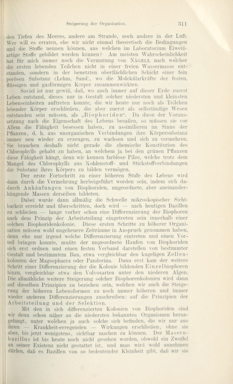 Stei]Eferuns: der Oriranisatioii. HU den Tiefen des Meeres, andere am Strande, noch andere in der Lnft. Wer will es erraten, ehe wir nicht einmal theoretisch die I>edin,ffiingen und die Stoffe nennen können, ans welchen im Laboratorium Eiweil:»- artige Stoffe gebildet werden könnenV Am meisten Wahrscheinlichkeit hat für mich immer noch die \'ermntung von Nägeli. nach welcher die ersten lebenden Teilchen nicht in einer freien Wassermasse ent- standen, sondern in der Ijenetzten oberllächlichen Schicht einer fein porösen Substanz (Lehm. Sand , wo die Molekülarkräfte der festen, flüssigen und gasförmigen Körper zusammenwiikten. Soviel ist nur gewiß, dab. wo auch immer auf dieser Erde zuerst Leben entstand, dieses nur in (iestalt solcher niedersten und kleinsten Leben>einheiten auftreten konnte, die wir heute nur noch als Teilchen lel)ender Körper erschliel-ien. die aber zuerst als selbständige We>en entstantlen sein müssen, als ..Biojthoriden. Da diese der Voraus- setzung nach die Eigenschaft des Lebens besaßen, so müssen sie vor Allem die Fähigkeit besessen haben, zu assimilieren im Sinne der Pflanzen, d. h. au> unorganischen \'erbindungen ihre Körpersubstanz immer neu wieder zu erzeugen, zu wachsen und sich zu vermehren. Sie l)rauchen deshalb nicht gerade die chemische Konstitution des Chlorophylls gehabt zu haben, an welchem ja bei den grünen Pflanzen diese Fähigkeit hängt, denn wir kennen farblose Pilze, welche trotz dem Mangel des Chlorophylls aus Kohlenstoff- und Stickstoffverltindungen die Substanz ihres Körjters zu l)ilden vermögen. Der erste Fortschritt zu einer höheren Stufe des Lebens wird dann durch die \'ermehrung herl)eigeführt worden sein, indem sich da- durch Anhäufungen von Biophonden. ungeordnete, aber aneinander- hängende Massen derselben bildeten. Dabei wurde dann allmälig die Schwelle mikroskoi)ischer Sicht- barkeit erreicht und überschritten, doch wird — nach heutigen Pazillen zu schlielJen — lange vorher schon eine Differenzierung der P.ini)h<>ren nach dem Prinzij) dei- Arbeitsteilung eingetreten sein innerhalli einer solchen liiojihoridenkolonie. Diese ersten Schritte zu höherer Organi- sation mü>sen wohl ungeheuere Zeiträume in Anspruch genommen haben. denn ehe nur irgend welche Differenzierung eintreten und einen \'or- teil bringen konnte, mußte der ungeordnete Haufen von lUophoriden sich erst ordnen und einen festen Verband darstellen von bestimmter Gestalt und bestimmtem Dau. etwa vergleichbar den kugeligen Zelleii- kolonien der Magosjjhaera oder Pandoriiui. Dann er>t kam der weitere Schritt einer Differenzierung der die Kolonie bildenden Einzelbin|)horen hinzu, vergleichbar etwa den N'olvoxarten unter ilen niederen Algen. Die allmähliche weitere Steigerung solcher P.iophoreiikolonien wird ilann auf dieselben Prinzipien zu beziehen sein, welchen wir auch die Steige- rung der höheren I.el»ensformen zu noch immer h«iheren und immer wieder anderen Differenzierung(!n zuschreiben: auf die Prinzipien der Arbeitsteilung und der Selektion. Mit den in sich differenzierten Kolonien \on i;io|tli(»ri(len >ind : denn schon näher an die niedersten bekannten OrganisintMi heran- -ilangt. unter w<dchen ja auch solche sich belinden, die wir nur au> I ihren Krankheit-erregenden Wirkungen er>chlieüen. ohne sie aber, bis jetzt wenigstens. >ichtbar machen zu können. Der .Ma->ern- bazillus ist bis heute noch nicht ge>ehen winden, obwohl ein Zweifel an seiner Existenz nicht ge>tattet ist. und man wird wohl annehmen dürfen, daß e> P.azilleii von so bed«'Ufender KIrinheil uil'l. daß wir sie