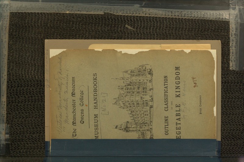 /x^inM Xtbe riDaitcbeetet riDuseurn ©wens Colleoe USEUM HANDBOOKS f OUTLINE CLASSIFICATION OF THE GETABLE KINGDOM ♦,olt Ipvice twopence