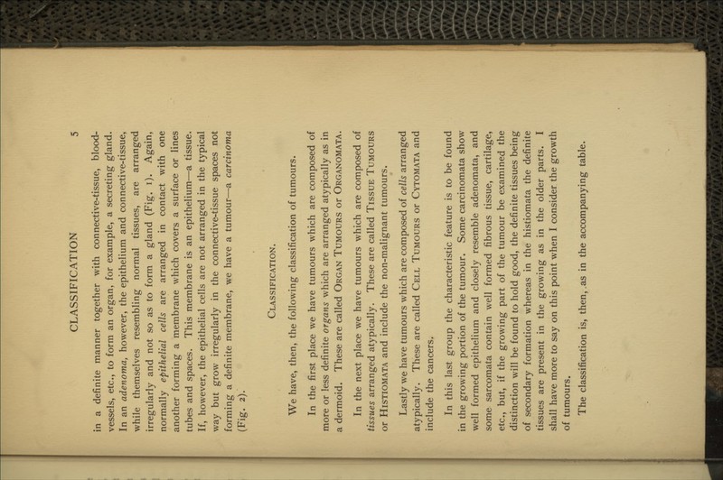 in a definite manner together with connective-tissue, blood- vessels, etc., to form an organ, for example, a secreting gland. In an adenoma, however, the epithelium and connective-tissue, while themselves resembling normal tissues, are arranged irregularly and not so as to form a gland (Fig. i). Again, normally epithelial cells are arranged in contact with one another forming a membrane which covers a surface or lines tubes and spaces. This membrane is an epithelium—a tissue. If, however, the epithelial cells are not arranged in the typical way but grow irregularly in the connective-tissue spaces not forming a definite membrane, we have a tumour—a carcinoma (Fig. 2). Classification. We have, then, the following classification of tumours. In the first place we have tumours which are composed of more or less definite organs which are arranged atypically as in a dermoid. These are called Organ Tumours or Organomata. In the next place we have tumours which are composed of tissues arranged atypically. These are called Tissue Tumours or Histiomata and include the non-malignant tumours. Lastly we have tumours which are composed of cells arranged atypically. These are called Cell Tumours or Cytomata and include the cancers. In this last group the characteristic feature is to be found in the growing portion of the tumour. Some carcinomata show well formed epithelium and closely resemble adenomata, and some sarcomata contain well formed fibrous tissue, cartilage, etc., but, if the growing part of the tumour be examined the distinction will be found to hold good, the definite tissues being of secondary formation whereas in the histiomata the definite tissues are present in the growing as in the older parts. I shall have more to say on this point when I consider the growth of tumours. The classification is, then, .as in the accompanying table.