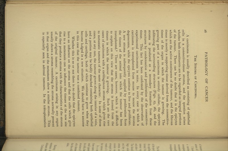 The Stroma of Carcinoma. A carcinoma is usually described as consisting of epithelial cells in a connective-tissue stroma, and the question arises whether both constituents are to be regarded as integral portions of the tumour. There can be no doubt that it is the epicytes which are the active constituents of the tumour, and the fibrous tissue is merely a supporting tissue derived from the connective- tissue of the organ in which the tumour is growing. The growing part of a carcinoma is entirely cellular, the epicytes infiltrating the surrounding structures (Figs. 25, 26), and the stroma is produced as a secondary formation from these structures by condensation and proliferation of the connective- tissue. This fact has been confirmed by the observation of experimental carcinomata in mice. In every case in which a carcinoma is transplanted from mouse to mouse the stroma degenerates, while the epicytes continue to live and proliferate. A new stroma is subsequently supplied by proliferation from the tissues of the animal into which the tumour has been transplanted.2 There are cases, however, which it is difficult to explain on this view that the stroma is formed from the tissues in which the tumour is growing. Such are the rare cases of carcinoma with a cartilaginous stroma which gives rise to metastatic tumours of the same character. In some of these cases, at any rate, the tumour grows along the interior of a vein, and a portion may be bodily detached containing both epithelial cells and cartilage, both of which continue to grow when they become lodged in a new situation. We should have to assume in this case that the tumour was a combined tumour. Whether this is so or not there is no doubt that the epicytes have an influence on the stroma and that the cells which give rise to a metastasis can so influence the tissues at the new site that they produce a stroma with the characteristics of the stroma of the original tumour. A carcinoma arising in any organ usually shows a stroma resembling the stroma normally present in that organ and the metastases show a similar stroma. This is especially seen in adrenal tumours. In the transplantation