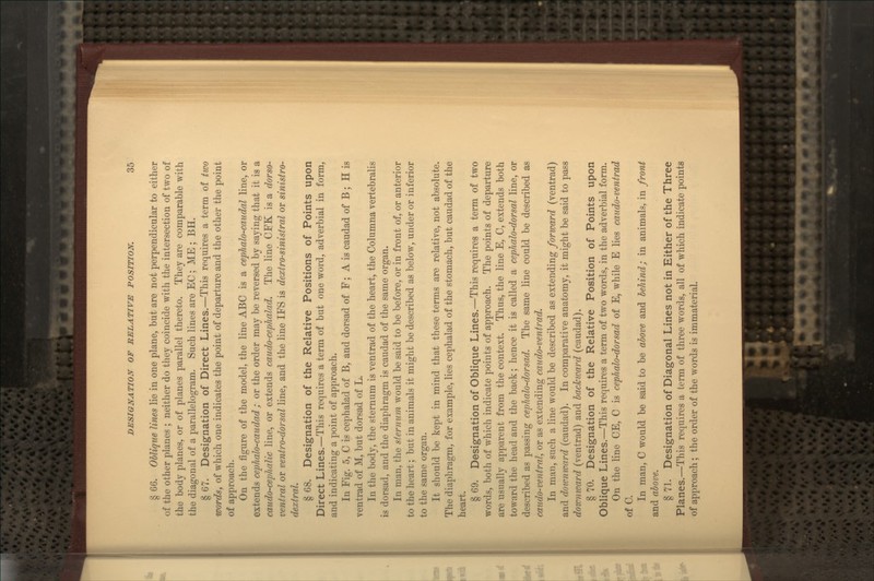 § 66. Ohlique lines lie in one plane, but are not perpendicular to either of the other planes ; neither do they coincide with the intersection of two of the body planes, or of planes parallel thereto. They are comparable with the diagonal of a parallelogram. Such lines are EC; ME ; BH. § 67. Designation of Direct Lines.—This requires a term of two words, of which one indicates the point of departure and the other the point of approach. On the figure of the model, the line ABC is a cephalo-caudal line, or extends cephalo-caudad ; or the order may be reversed by saying that it is a caudo-cephalic line, or extends caudo-cephalad. The line CFK is a dorso- ventral or ventro-dorsal line, and the line IFS is dextro-sinistrdl or sinistro- dextral. § 68. Designation of the Relative Positions of Points upon Direct Lines.—This requires a term of but one word, adverbial in form, and indicating a point of approach. In Fig. 5, C is cephalad of B, and dorsad of F; A is caudad of B; H is ventrad of M, but dorsad of L. In the body, the sternum is ventrad of the heart, the Columna vertebralis is dorsad, and the diaphragm is caudad of the same organ. In man, the sternum would be said to be before, or in front of, or anterior to the heart; but in animals it might be described avS below, under or inferior to the same organ. It should be kept in mind that these terms are relative, not absolute. The diaphragm, for example, lies cephalad of the stomach, but caudad of the heart. § 69. Designation of Oblique Lines.—This requires a term of two words, both of which indicate points of approach. The points of departure are usually apparent from the context. Thus, the line E, C, extends both toward the head and the back; hence it is called a ceplialo-dorsal line, or described as passing cephalo-dorsad. The same line could be described as caudo-ventral, or as extending caudo-ventrad. In man, such a line would be described as extending forward (ventrad) and dowmuard (caudad). In comparative anatomy, it might be said to pass doumiuard (ventrad) and hackioard (caudad). § 70. Designation of the Relative Position of Points upon Oblique Lines.—This requires a term of two words, in the adverbial form. On the line CE, C is cephalo-dorsad of E, while E lies caudo-ventrad of C. In man, C would be said to be ahove and behind; in animals, in front and ahove. § 71. Designation of Diagonal Lines not in Either of the Three Planes.—This requires a term of three words, all of which indicate points of approach; the order of the words is immaterial.