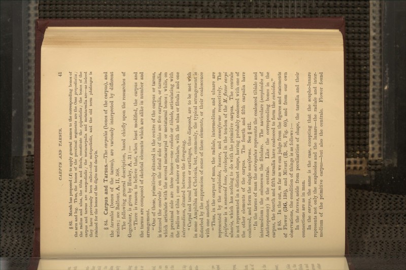 § 83. Marsh has proposed (1) to apply general names to the corresponding bones of the arm and leg. Thus, the bones of the proximal segments are the Ossa propodialia; the radius and ulna, the tibia and fibula, constitute the epipodialia; the bones of the carpus and tarsus are mesopodialia; the metacarpalia and metatarsalia are—as indeed they have previously been called—the metapodialia, and the old term phalanges is retained for the bones of the digits and dactyls. § 84. Carpus and Tarsus.—The carpalia (bones of the carpus), and the tarsalia (bones of the tarsus), are variously interpreted by different writers; see Balfour, A, II, 508. The following general description, based chiefly upon the researches of Gegenbaur, is given by Huxley, A, 31 : —  There is reason to believe that, when least modified, the carpus and the tarsus are composed of skeletal elements which are alike in number and arrangement.  One of these, primitively situated in the centre of the carpus or tarsus, is termed the centrale ; on the distal side of this are five carpalia, or tarsalia, which articulate with the several metacarpal or metatarsal bones ; while, on its proximal side are three bones—one radiale or tibiale, articulating with the radius or tibia ; one ulnare or fibulare, with the ulna or fibula; and one intermedium, situated between the foregoing.  Carpal and tarsal bones or cartilages, thus disposed, are to be met with in some Amphibia and Chelonia, but, commonly, the typical arrangement is disturbed by the suppression of some of these elements, or their coalescence with one another. *'Thus, in the carpus of man, the radiale, intermedium, and ulnare are represented by the scaphoides, lunare, and cuneiforme respectively. The pisiforme is a sesamoid hone, developed in the tendon of the M. flexor carpi ulnaris, which has nothing to do with the primitive carpus. The centrale is not represented in a distinct shape, having probably coalesced with one of the other elements of the carpus. The fourth and fifth carpalia have coalesced, and form the single uneiforme. See § 421. ''In the tarsus of man the astragalus represents the coalesced tibiale and intermedium ; the calcaneum the fibulare. The naviculare {scaplioides of Anthropotomy) is the centrale. Like the corresponding bones in the carpus, the fourth and fifth tarsalia have coalesced to form the cuhoides. § 85. In the cat, so far as we can judge from the figures and statements of Flower (36, 138), and Mivart (B, 96, Fig. 60), and from our own observations, the condition of things is as follows:— In the tarsals, aside from peculiarities of shape, the tarsalia and their connections are as in man. In the carpus, the same is the case, excepting that the scapho-lunare represents not only the scaphoides and the lunare—the radiale and inter- medium of the primitive carpus—but also the centrale. Flower found