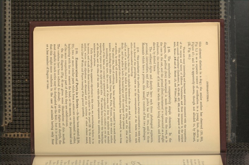 this element distinct in a dog; the senior author has observed (19, 301, Fig. 1,) it as a separate center of ossification in a young lion, shown in Figure 47; and it is apparently shown, though not alluded to, by Mivart, (B, Fig. 60.) There are many interesting and important questions connected with the composition of the carpus and tarsus of different Vertebrates, and those interested in the subject may consult Qegenbaur (Lankester), A, 479-481, 487, 488, and the papers of that anato- mist, Morse (18 and 1) Marsh (1), and Wilder {Id). § 86. The metapodials are comparatively simple elements. In the diagram, the poUical (first) metacarpal is made shorter than the rest, as is the case in the cat, and the primal (first) metatarsal is represented as a slight rudiment, the remainder of it and the whole dactyl being absent, and hence shown by dotted lines. The ordinary digits and dactyls have each three phalangeal segments, proximal, mtermediate, and distal. The pollex has but two, and in those Mammals which have a primus, this usually consists of but two phalanges. § 87. This peculiarity of the pollex and primus has always constituted a main argu- ment in favor of the prevailing view as to the correspondence of the limbs with each other—intermernbral Jwmdogy. According to this view, the cephalic borders of the arm and leg correspond, morphi- cally as well as telically; the radius is the homologue of the tibia, and the ulna of the fibula ; and the pollex is both the homologue and the analogue of the primus. This, the syntropical idea of intermembral homologies, has been adopted, in one form or another, by nearly all anatomists. The other idea, that of antltropy, has been advocated or accepted by a much smaller number, including the elder Agassiz, Coues, Dana, Foltz, Wyman, and the senior author. According to this view, the two ends of the soma, and thus the cephalic and caudal aspects of the limbs, are reversed or symmetrical repetitions of one another, as are the cor- responding organs upon the right and left sides. The radius thus becomes the homologue of the fibula, and the tibia of the ulna, while the pollex represents the quintus, and the minimus the primus. Fully recognizing the apparent objections to this view, we nevertheless believe it to be correct, and would refer those interested in the subject to the paper (IP) by the senior author, where these objections are discussed and the opinions of other writers stated, with a List of Works and Papers treating of the general question. § 88. Enumeration of Parts in a Series.—As has been stated (§ 30, 79), two or more similar parts which form a series are enumerated in order, beginning with the one nearest the head, or the meson, or the proximal end of the more comprehensive part of which they are subdivisions. On the diagram (Fig. 6) are given some illustrations of this method. The vertebrae have been referred to already. Of the digits and dactyls, the most cephalic in each series may be designated as the first; but it is evident that this might cause confusion in the case of animals having only four or a less number of fingers or toes.