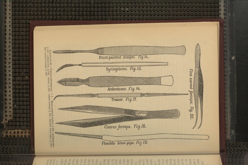 Fine curved forceps. Fig, S.O. Fio-ures 14-20.-Various instraments; x 1. Blunt-pointed scalpel, § 155 ; syringotome g 16r; arthrotome, §^ 135j tracer, § 166; coarse forceps, § 145 ; flexible blow-pipe, § 138 , hue curved forceps, § 145.