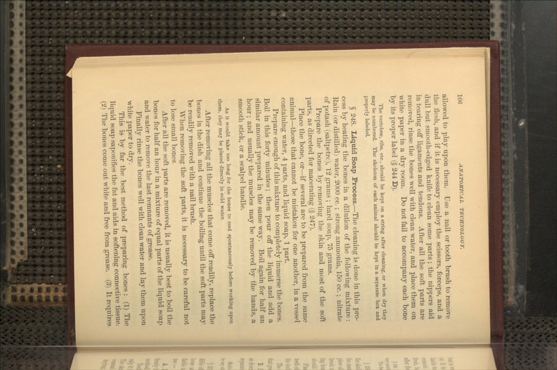 allowed to play upon them. Use a nail or tooth brush to remove the flesh, and if it is necessary employ the scissors, forceps, and a dull but smooth-edged knife to clean some parts; the nippers aid in tearing off ligaments and tendons. After all the soft parts are removed, rinse the bones well with clean water, and place them on white paper in a dry room. Do not fail to accompany each bone by its proper label (§ 244 D). The vertebrae, ribs, etc., should be kept on a string after cleaning, or when dry they may be numbered. The skeleton of each animal should be kept in a separate box and properly labeled. § 248. Liquid Soap Process.—The cleaning is done in this pro- cess by heating the bones in a dilution of the following mixture: Rain (or distilled) water, 2000 cc.; strong ammonia, 150 cc.; nitrate of potash (saltpetre), 12 grams ; hard soap, 75 grams. Prepare the bones by removing the skin and most of the soft parts, as directed for macerating (§ 247). Place the bone, or—if several are to be prepared from the same animal—those that cannot be mistaken for one another, in a vessel containing water, 4 parts, and liquid soap, 1 part. Prepare enough of this mixture to completely immerse the bones. Boil in this forty minutes; then pour off the liquid and add a similar amount prepared in the same way. Boil again for half an hour; and usually the muscles may be removed by the hands, a smooth stick, or a scalpel handle. As it would take too long for the bones to cool spontaneously before working upon them, they may be placed directly in cold water. After removing all the muscles that come off readily, replace the bones in the dish and continue the boUing until the soft parts may be readily removed with a nail brush. When removing the soft parts, it is necessary to be careful not to lose small bones. After all the soft parts are removed, it is usually best to boil the bones for half an hour in a mixture of equal parts of the liquid soap and water to remove the last remnants of grease. Finally rinse the bones well with clean water and lay them upon white paper to dry. This is by far the best method of preparing bones : (1) The liquid soap saponifies the fat and aids in softening connective tissue. (2) The bones come out white and free from grease. (3) It requires