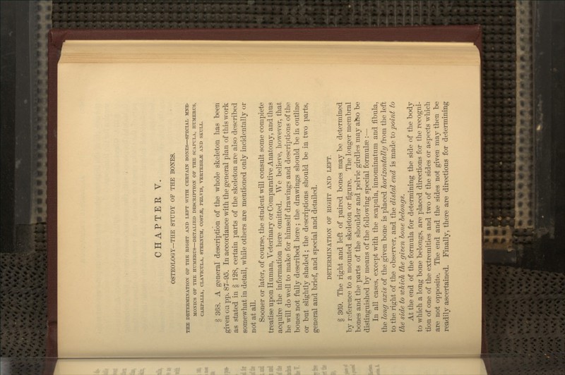 OSTEOLOGY—THE STUDY OF THE BONES. THE DETKBMINATION OP THE RIGHT AND LEFT WITH CERTAIN BONES—SPECIAL MNE- MONICS OF THE HUMERUS—DETALIED DESCRIPTION OF THE SCAPULA, HUMERUS, CARPALIA, CLAVICULA, STERNUM, COST^, PELVIS, VERTEBRA AND SKULL. § 363. A general description of the whole skeleton has been given on pp. 87-95. In accordance with the general plan of this work as stated in § 128, certain parts of the skeleton are also described somewhat in detail, while others are mentioned only incidentally or not at all. Sooner or later, of course, the student will consult some complete treatise upon Human, Veterinary or Comparative Anatomy, and thus acquire the information here omitted. We believe, however, that he will do well to make for himself drawings and descriptions of the bones not fully described here ; the drawings should be in outline or but slightly shaded; the descriptions should be in two parts, general and brief, and special and detailed. DETERMINATION OF RIGHT AND LEFT. § 369. The right and left of paired bones may be determined by reference to a mounted skeleton or figure. The longer membral bones and the parts of the shoulder and pelvic girdles may afeo be distinguished by means of the following special formulae :— In all cases, except with the scapula, innominatum and fibula, the long axis of the given bone is placed Jiorizontally from the left to the right of the observer, and the distal end is made to point to the side to which the given bone belongs. At the end of the formula for determining the side of the body to which a long bone belongs, are placed directions for the recogni- tion of one of the extremities and two of the sides or aspects which are not opposite. The end and the sides not given may then be readily ascertained. Finally, there are directions for determining