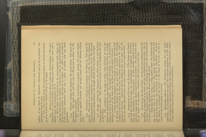 radius ; if the hand be supinated vigorously and as far as possible, the attachment may be seen. a. Carry the scalpel along the humerus between it and the brachialis so as to detach the muscle except at its origin. § 23. Actions of Certain Muscles upon the Antibrachium.—The anti- brachium is a LEVER divided at the elbow joint into a LONG ARM, and a SHORT ARM, the OLECRANON, PI. I. a With either of the muscles to be experimented with, biceps, tri- ceps and brachialis, the natural contraction may be imitated sufficiently by pulling proximad in the line of its length ; the effect is the same as if the muscle shortened itself like a piece of rubber that has been stretched. § 24. Flexion.—Grasp the humerus, the elbow down. Pull upon the brachialis. The hand rises and the arm is flexed just as when, in life, the muscle contracts. The atitibrachium constitutes a FLEXION LEVER, the power (brach- ialis) being applied between the weight (hand) and the fulcrum (elbow joint). § 25. Extension.—Grasp the humerus, the elbow up. Pull upon the triceps. The arm is extended just as when, in life, the triceps contracts. The antibrachium now constitutes an EXTENSION LEVER, the fulcrum (elbow joint) being between the weight (hand) and the power (triceps). § 26. Rising.—Grasp the humerus, the elbow down, it and the hand resting upon the table. Pull upon the triceps so as to straighten the arm at the elbow. a. The condition is the same as when, upon all-fours, we rest the hand and antibrachium upon the floor and then raise the body by straight- ening the arm at the elbow. The weight (brachium, etc.,) is between the fulcrum (contact of the hand with the floor) and the power (triceps). b. A more familiar example of this action is in rising upon the ball of the foot ; the weight (of the leg and body) is between the fulcrum (contact of the foot with the floor) and the power (muscles of the calf) inserted at the heel. Illustrate this by means of the cat's leg ; rest the foot on the table and pull upon the tendo Achillis so as to raise the heel. § 27. Antagonism of Flexors and Extensors.—The biceps and brach- ialis and the triceps act upon the antibrachium in opposite directions ; they are OPPONENTS or ANTAGONISTS. If they should contract at once and with equal power there would be no movement ; the arm would sim- ply be fixed at the elbow ; illustrate this upon your own arm. § 28. Reversal of the Fixed Point.—In the previous observations the brachium is supposed to be fixed and the antibrachium movable ; this is the more frequent condition ; but in climbing the hand and antibrachium are fixed and the brachium is flexed upon the latter. a. Illustrate this by tying a string tightly about the humerus and the proximal end of the brachialis ; then grasp the antibrachium and pull upon the muscle ; the brachium is flexed at the elbow. So far as the muscle is concerned the action is the same as in § 24, but the lo- cation of the fixed point is reversed. §29. Monarthal Muscles.—The brachialis crosses but one joint (arthron); its attachments are upon two adjacent segments of the limb, and a single joint intervenes between the origin and the insertion ; hence it and similar muscles may be called MONARTHRAL.