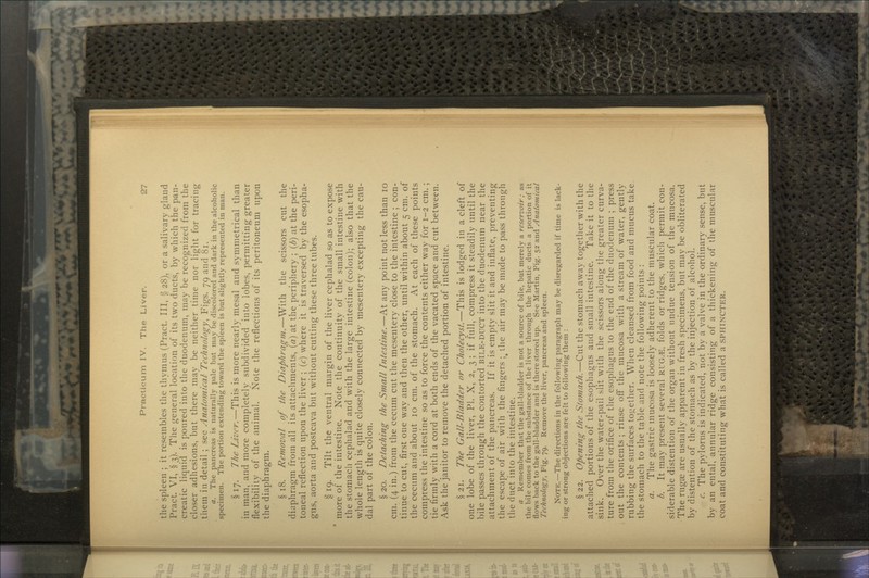 the spleen ; it resembles the thymus (Pract. Ill, § 28), or a salivary gland Pract. VI, §3). The general location of its two ducts, by which the pan- creatic liquid is poured into the duodenum, may be recognized from the closer adhesions, but there may be neither time nor light for tracing them in detail ; see Anatomical Technology, Figs. 79 and 81. a. The pancreas is naturally pale but may be discolored and dark in the alcoholic specimen. The portion extending toward the spleen is but slightly represented in man. § 17. The Liver.—This is more nearly mesal and symmetrical than in man, and more completely subdivided into lobes, permitting greater flexibility of the animal. Note the reflections of its peritoneum upon the diaphragm. § 18. Removal of the Diaphragm.—With the scissors cut the diaphragm from all its attachments, (a) at the periphery ; (b) at the peri- toneal reflection upon the liver ; (c} where it is traversed by the esopha- gus, aorta and postcava but without cutting these three tubes. § 19. Tilt the ventral margin of the liver cephalad so as to expose more of the intestine. Note the continuity of the small intestine with the stomach cephalad and with the large intestine (colon); also that the whole length is quite closely connected by mesentery excepting the cau- dal part of the colon. § 20. Detaching the Small Intestine.—At any point not less than 10 cm. (4 in.) from the cecum cut the mesentery close to the intestine ; con- tinue to cut, first one way and then the other, until within about 5 cm. of the cecum and about 10 cm. of the stomach. At each of these points compress the intestine so as to force the contents either way for 1-2 cm. ; tie firmly with a cord at both ends of the vacated space and cut between. Ask the janitor to remove the detached portion of intestine. §21. The Gall-Bladder or Cholecyst.—This is lodged in a cleft of one lobe of the liver, PI. X, 2, 3 ; if full, compress it steadily until the bile passes through the contorted BILE-DUCT into the duodenum near the attachment of the pancreas. If it is empty slit it and inflate, preventing the escape of air with the fingers ;§ the air may be made to pass through the duct into the intestine. a Remember that the gall-bladder is not a source of bile, but merely a reservoir ; as the bile comes from the substance of the liver through the hepatic ducts a portion of it flows back to the gall-bladder and is there stored up. See Martin, Fig. 52 and Anatomical Technology, Fig. 79. Remove the liver, pancreas and spleen. NOTE.—The directions in the following paragraph may be disregarded if time is lack- ing or strong objections are felt to following them : § 22. Opening the Stomach.—Cut the stomach away together with the attached portions of the esophagus and small intestine. Take it to the sink. Over the water-pail slit with the scissors along the greater curva- ture from the orifice of the esophagus to the end of the duodenum ; press out the contents ; rinse off the mucosa with a stream of water, gently rubbing the surfaces together. When cleansed from food and mucus take the stomach to the table and note the following points : a. The gastric mucosa is loosely adherent to the muscular coat. b. It may present several RUG-'E, folds or ridges, which permit con- siderable distention of the organ without undue tension of the mucosa. The rugae are usually apparent in fresh specimens, but may be obliterated by distention of the stomach as by the injection of alcohol. c. The pylorus is indicated, not by a valve in the ordinary sense, but by an ental, annular ridge consisting of a thickening of the muscular coat and constituting- what is called a SPHINCTER.