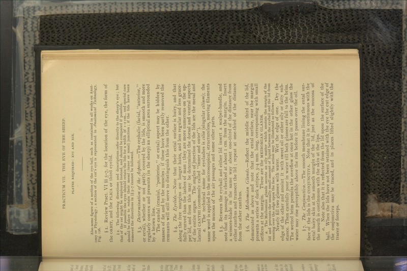 PLATES REQUIRED : XVI AND XIX. Also some figure of a section of the eye-ball, such as contained in all works on Anat- omy or Physiology ; a section of the cat's eye is represented in Anatomical Technology, Fig. 126. § i. Review Pract. VI §§ 5-7, for the location of the eye, the form of the ORBIT, and the PLICA or third eyelid. \ 2. The following directions and descriptions refer directly to the sheep's eye ; but that of the cat might be employed instead, and should be compared if possible. a. If possible the eyes should retain the lids for a width of 1-2 cm., and special care should be taken to retain their mesal (inner or nasal) junction ; if the lids have been removed the directions in '$, 5-7 cannot be followed. § 3. Determination of the Aspects.—The cephalic (facial, anterior, or ectal), whether or not partly covered by the lids, is smooth and more regularly convex and presents (in the sheep) an elliptical area surrounded by a brown line. The caudal (cranial, posterior, or ental) aspect may be hidden by masses of fat and by the muscles ; if these have been partly removed the remnants will still serve to distinguish this from the other. §4. The Eyelids.—Note that their ectal surface is hairy, and that along the free margins are longer hairs, and less regular and less grace- fully curved than the lashes of man ; they are more numerous on the up- per lid, and from this may be determined the dorsal and ventral aspects of the entire organ. The angles of junction of the lids are the mesal and lateral CANTHI (commonly called inner and outer). a. The technical name for eyelashes is cilia (singular cilium); the same word is applied to the microscopical, structureless, moving filaments upon the mucosa of the air passages and some other parts. § 5. Between the eyeball and either lid insert a scalpel-handle, and note that its passage is checked at about i cm. from the margin. Insert a scissors-blade in the same way about one-third of the distance from either can thus and transect the lid ; repeat at one-third of the distance from the other canthus. §6. The Meibomian Glands.—Reflect the middle third of the lid, demarcated as above and note that the ental surface, near the margin presents a series of dark stripes, 3-4 mm. long, corresponding with small orifices at the margin. These are the MEIBOMIAN GLANDS. a. The Meibomian glands secrete an oily matter which anoints the margin of the lid and prevents the usually small amount of liquid between the eyeball and the lid from running over the edge upon the face. The action may be illustrated as follows : Nearly fill two glasses with water. Wet the edge of one. Dry the edge of the other and anoint it with sweet oil or other oily or fatty sub- stance. Then carefully pour in water till both glasses are full to the brim. The wetted brim permits the overflow at once but in the other glass the water may rise perceptibly above the rim before it passes over the oil. §7. The Conjunctiva.—The smooth membrane lining the ental sur- face of the lids is the CONJUNCTIVA. Note that it is continuous with the ectal hairy skin at the smooth margin of the lid, just as the mucosa of the mouth is continuous with the skin at the lips. a. Note also that it is reflected from the lid upon the surface of the ball. When the lids have not been retained with the eye the cut edge of the conjunctiva may be traced, and in places lifted slightly with the tracer or forceps.