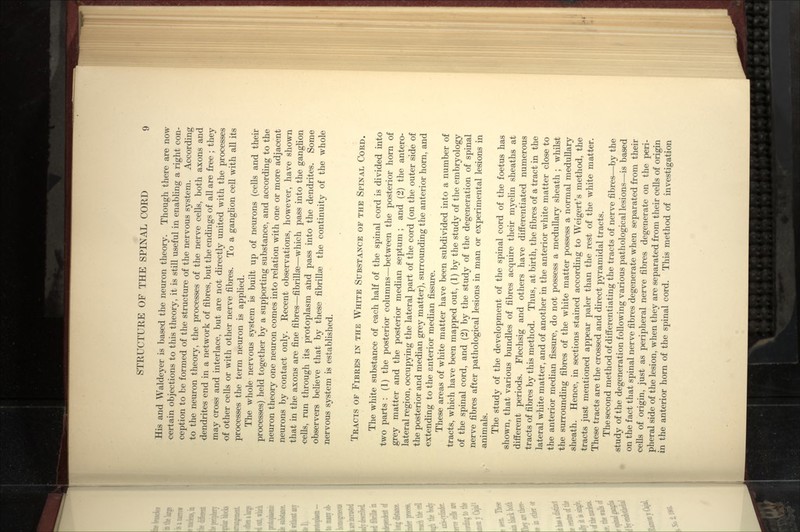 His and Waldeyer is based the neuron theory. Though there are now certain objections to this theory, it is still useful in enabling a right con- ception to be formed of the structure of the nervous system. According to the neuron theory, the processes of the nerve cells, both axons and dendrites end in a network of fibres, but the endings of all are free ; they may cross and interlace, but are not directly united with the processes of other cells or with other nerve fibres. To a gangUon cell with all its processes the term neuron is applied. The whole nervous system is built up of neurons (cells and their processes) held together by a supporting substance, and according to the neuron theory one neuron comes into relation with one or more adjacent neurons by contact only. Recent observations, however, have shown that in the axons are fine fibres—fibrillae—which pass into the ganglion •cells, run through its protoplasm ahd pass into the dendrites. Some observers believe that by these fibrillge the continuity of the whole nervous system is established. Tracts of Fibres in the White Substance of the Spinal Cord. The white substance of each half of the spinal cord is divided into two parts : (1) the posterior columns—^between the posterior horn of grey matter and the posterior median septum ; and (2) the antero- lateral region, occupying the lateral part of the cord (on the outer side of the posterior and median grey matter), surrounding the anterior horn, and ■extending to the anterior median fissure. These areas of white matter have been subdivided into a number of tracts, which have been mapped out, (1) by the study of the embryology of the spinal cord, and (2) by the study of the degeneration of spinal nerve fibres after pathological lesions in man or experimental lesions in animals. The study of the development of the spinal cord of the foetus has shown, that various bundles of fibres acquire their myelin sheaths at different periods. Flechsig and others have differentiated numerous tracts of fibres by this method. Thus, at birth, the fibres of a tract in the lateral white matter, and of another in the anterior white matter close to the anterior median fissure, do not possess a medullary sheath ; whilst the surrounding fibres of the white matter possess a normal medullary sheath. Hence, in sections stained according to Weigert's method, the tracts just mentioned appear paler than the rest of the white matter. These tracts are the crossed and direct pyramidal tracts. The second method of differentiating the tracts of nerve fibres—by the study of the degeneration following various pathological lesions—is based on the fact that spinal nerve fibres degenerate when separated from their cells of origin, just as peripheral nerve fibres degenerate on the peri- pheral side of the lesion, when they are separated from their cells of origin in the anterior horn of the spinal cord. This method of investigation