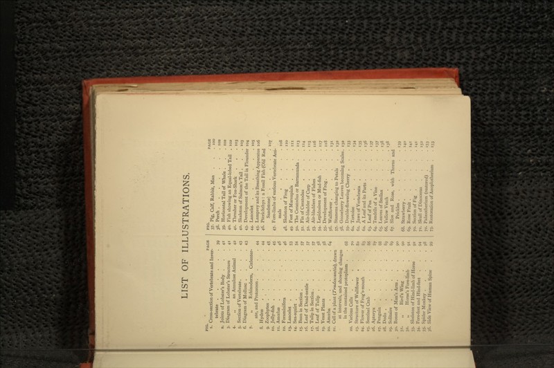 LIST OF ILLUSTRATIONS. 1. Cross-section of Vertebrate and Inver- tebrate 39 2. Joints of Lobster's Body . 3. Diagram of Lobster's Structure 4. ,, an Annulose Animal 5. Section of Vertebrate.... 6. Diagram of Mollusc .... 7. „ Echinoderm, Ccelenter- ate, and Protozoon.... 8. Hydrae 9. Zoophytes 45 10. Jelly-fish 45 n. Amoebae 12. Foraminifera .... 13. Lancelet 14. Sea-squirt 15. Bean in Section 57 16. Leaf of Dead-nettle . 17. Tulip in Section 57 18. Leaf of Tulip .... 19. Yeast Plants .... 20. Amoeba 64 21. Cell of a plant (Tradescantia), drawn at intervals, and showing changes in the contained protoplasm . 22. Various Cells 23. Structure of Wallflower . 24. Flower of Frog's-mouth 25. Sentinel Crab 26. Apteryx 27. Penguin 88 28. Dodo 29. Solitaire .... 30. Bones of Man's Arm . 31. „ Bird's Wing 32. „ Horse's Fore-limb 33. Skeleton of Hind-limb of Horse 34. Fore-feet and Hind-feet 35. Spider Monkey . . 36. Side View of Human Spine GE FIG. 37- 39 38. 41 39- 4i 40. 42 41. ' 43 42. 43 43- 44- 44 45- 44 46. 45 45 47- 46 46 48. 53 49- 54 5°. 57 Si- 57 52- 57 53- 58 54- 58 55- 64 56. 57- 58. 68 59- 70 60. 82 61. 83 62. 86 63- 87 64. 88 65- 89 66. 89 67 90 90 68. 9i 69. 92 70. 94 7i. 98 72. 99 73- PAGE . IOO . IO2 . 102 , IO2 . 103 . 103 Pig, Calf, Rabbit, Man . Perch Horizontal Tail of Whale . Fish showing an Equal-lobed Tail Thresher or Fox-Shark Skeleton of Salmon's Tail . Development of the Tail in Flounder 104 Lancelet 105 Lamprey and its Breathing Apparatus 106 Pterichthys : a Fossil Fish (Old Red Sandstone) 107 Fore-limbs of various Vertebrate Ani- mals 108 Skeleton of Frog . . . .no Feet of Marsupials . . . . in The Ceratodus or Barramunda . . 113 Fin of Ceratodus . . . .114 Air-bladder of Carp . . . .115 Air-bladders of Fishes . . .116 Lepidosiren or Mud-fish . . .117 Development of Frog. . . .118 Wallflower 131 Stamens changing to Petals . . 132 Gooseberry Leaves becoming Scales. 132 Double-flowering Cherry . . .133 Tortoise .... . . 134 Jaws of Vertebrata . . . -135 A Leaf and its Parts . . . . 136 Leaf of Pea 137 Tendrils of a Vine .... 137 Leaves of Smilax . . . .138 Yellow Vetch 138 Sloe and Rose, with Thorns and Prickles 139 Strawberry 140 Rose Fruit 141 Section of Fig 141 Skull of Dinoceras .... 152 Palaotherium (restored) . . .153 Restoration of Anoplotherium . . 153