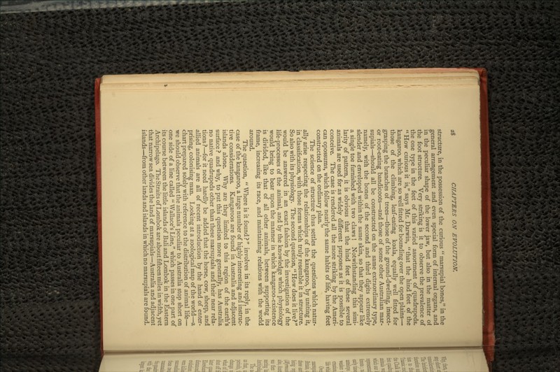 structure, in the possession of the curious  marsupial bones, in the general arrangement and even special form of internal organs, and in the peculiar shape of the lower jaw, but also in the matter of the foot structure. Very striking is it to observe the prevalence of the one type in the feet of this varied assortment of quadrupeds.  How curious it is, says Mr. Darwin,  that the hind feet of the kangaroo, which are so well fitted for bounding over the open plains— those of the climbing, leaf-eating koala, equally well fitted for grasping the branches of trees—those of the ground-dwelling, insect- or root-eating bandicoots—and those of some other Australian mar- supials—should all be constructed on the same extraordinary type, namely, with the bones of the second and third digits extremely slender and enveloped within the same skin, so that they appear like a single toe furnished with two claws ! Notwithstanding this simi- larity of pattern, it is obvious that the hind feet of these several animals are used for as widely different purposes as it is possible to conceive. The case is rendered all the more striking by the Ameri- can opossums, which follow nearly the same habits of life, having feet constructed on the ordinary plan. The science of structure thus settles the questions which natur- ally arise respecting the relationships of the kangaroo, by uniting it, in classification, with those forms which truly resemble it in structure. So also with its physiology. The second question, How does it live? would be answered in an exact fashion by the investigation of the life-processes of the animal, and by the knowledge which physiology would bring to bear upon the manner in which kangaroo-existence is divided, like that of all other animals, between supporting its frame, increasing its race, and maintaining relations with the world around. The question,  Where is it found ?  involves in its reply, in the case of the kangaroo, a large number of highly interesting and instruc- tive considerations. Kangaroos are found in Australia and adjacent islands alone. Why are they limited to this region of the earth's surface ? and why, to put this question more generally, has Australia no native quadrupeds other than these marsupials and their near rela- tions ?—for it need hardly be added that the horse, cow, sheep, and allied animals are all of recent introduction by the hand of enter- prising, colonising man. Looking at a zoological map of the world—a chart prepared solely with reference to the distribution of animal life— we should observe that the animals peculiar to Australia stop short on one side of a line called  Wallace's Line, which passes in one part of its course between the little islands of Bali and Lombok in the Eastern Archipelago. The Straits of Lombok are about fifteen miles in width, yet that narrow sea divides the land of marsupials—Australia and adjacent islands—from other lands and islands in which no marsupials are found.