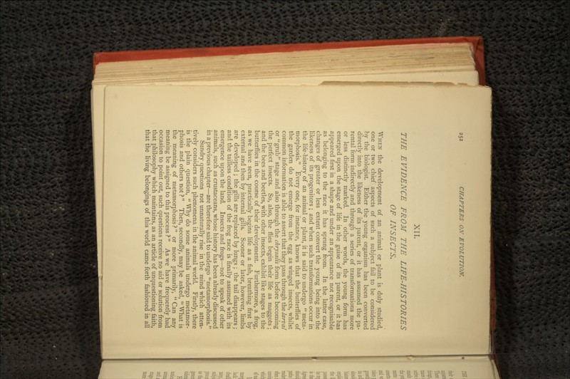 XII. THE EVIDENCE FROM THE LIFE-HISTORIES OF INSECTS. WHEN the development of an animal or plant is duly studied, one or two chief aspects of such a subject fail to be considered hy the biologist. Either the young organism has been converted directly into the likeness of its parent, or it has assumed the pa- rental form indirectly and through a series of transformations more or less distinctly marked. In other words, the young form has emerged upon the stage of life in the guise of its parent, or it has appeared first in a shape and under an appearance not recognisable as belonging to the race it has sprung from. In the latter case, changes of greater or less extent convert the young being into the likeness of its progenitors ; and when such transformations occur in the life-history of an animal or plant, it is said to undergo  meta- morphosis. Every one, for instance, knows that the butterflies of the garden do not emerge from the egg as winged insects, whilst common information is able to assert that they pass through the larval or grub stage and also through the chrysalis form before becoming the perfect insects. So, also, the flies begin their life as maggots; and the bees and beetles, with other insects, exhibit like stages to the butterflies in the course of their development. Furthermore, a frog, as we have seen, practically begins life as a fish, breathing first by external and then by internal gills. Sooner or later, however, limbs are developed ; the gills are replaced by lungs ; the tail disappears ; and the tailless condition of the frog race is finally assumed with its emergence upon the land. Insects and frogs—not to speak of other animals, such as crustaceans, whose history has been already discussed in a previous chapter—are therefore said to undergo metamorphosis. Sundry questions not unnaturally rise in the mind which atten- tively considers such phenomena in the animal world. Firstly, there is the plain question,  Why do some animals undergo metamor- phosis and others not ?  Then, secondly, may be asked,  What is the meaning of metamorphosis? or more primarily, Can any meaning be assigned to this process ?  As we have frequently had occasion to point out, such questions receive no aid or solution from that philosophy which maintains, as an article of unquestioning faith, that the living belongings of this world came forth fashioned in all