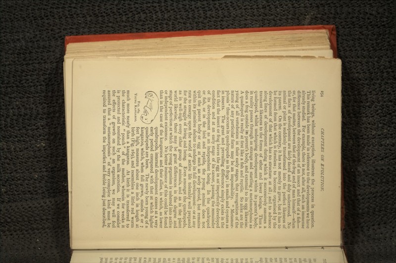 living beings, without exception, illustrate the process in question. This remark has been made in reference to the developments we have already studied. For example, there is not, after all, such an immense difference between the development of an insect and that of a fish— or, for that matter, between that of the frog and of man himself—when the facts of development are fairly faced and duly understood. No animal or plant is suddenly transformed into the perfect likeness of its parent. On the contrary, it has not merely to grow, but it has to be formed from that which is formless; to become organised by the development of that which has no structure at all; and to advance along lines of development during which it successively assumes a transient likeness to the forms of other and lower beings. Thus a quadruped, whilst undergoing development within its parent's body, in reality passes through as strange and startling a metamorphosis as does a frog outside its parent's body, and external to its egg likewise. A quadruped is really at first like a fish and reptile. So alike are the young of all vertebrates in their early stages, that recognition of the nature of any particular form may be an impossibility.  Metamor- phosis  thus occurs in quadrupeds as in frogs ; in snails and oysters as in insects. The great and prevailing difference simply exists in the fact that the insect or frog leaves the egg in an' imperfectly developed condition and at an early stage of its career, passing the remainder of its development as an independent being. In the quadruped or fish, or in the bird and reptile, the young animal does not quit the parent body or egg at such an early period, but remains within its primitive shelter to undergo its full development— or at any rate to emerge upon the world of active life tolerably well prepared for the struggle of living and being. Even amongst the quadrupeds, as in well-nigh every other group of animals, and as in the plant world likewise, there may be great differences in the degree and stage of perfection at which the young organism is ushered into active or independent existence. No better instance of this could be found than in the case of the kangaroos and their allies, in which, as lower quadrupeds, internal development ceases at a very early period compared with that at which higher quadrupeds are born. The newly born young of a kangaroo, which, when full grown, stands 6 or 7 FIG. 169. fee(. high, measures about one inch in length at YOUNG JVANGAROO. - . *§?i s \ i -ii !• i i birth (Fig. 169), and resembles a little red worm much more nearly than a kangaroo. At birth it is transferred to the characteristic  pouch of the mother, wherein for weeks it is protected and nourished by the milk secretion. If we consider the effects of growth on such an organism, we may well feel assured that a  metamorphosis  of very complete kind must be required to transform the imperfect and feeble being just described,