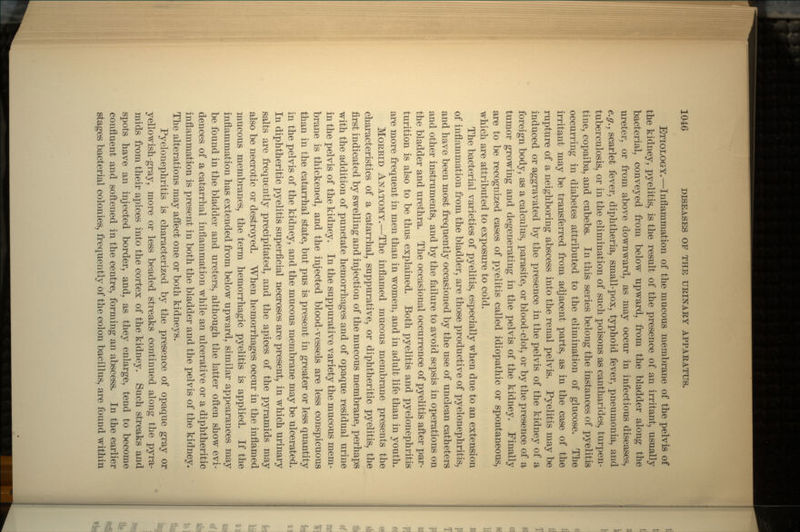 ETIOLOGY.—Inflammation of the mucous membrane of the pelvis of the kidney, pyelitis, is the result of the presence of an irritant, usually bacterial, conveyed from below upward, from the bladder along the ureter, or from above downward, as may occur in infectious diseases, e.g., scarlet fever, diphtheria, small-pox, typhoid fever, pneumonia, and tuberculosis, or in the elimination of such poisons as cantharides, turpen- tine, copaiba, and cubebs. In this series belong the instances of pyelitis occurring in diabetes attributed to the elimination of glucose. The irritant may be transferred from adjacent parts, as in the case of the rupture of a neighboring abscess into the renal pelvis. Pyelitis may be induced or aggravated by the presence in the pelvis of the kidney of a foreign body, as a calculus, parasite, or blood-clot, or by the presence of a tumor growing and degenerating in the pelvis of the kidney. Finally are to be recognized cases of pyelitis called idiopathic or spontaneous, which are attributed to exposure to cold. The bacterial varieties of pyelitis, especially when due to an extension of inflammation from the bladder, are those productive of pyelonephritis, and have been most frequently occasioned by the use of unclean catheters and other instruments, and by the failure to avoid sepsis in operations on the bladder and urethra. The occasional occurrence of pyelitis after par- turition is also to be thus explained. Both pyelitis and pyelonephritis are more frequent in men than in women, and in adult life than in youth. MORBID ANATOMY.—The inflamed mucous membrane presents the characteristics of a catarrhal, suppurative, or diphtheritic pyelitis, the first indicated by swelling and injection of the mucous membrane, perhaps with the addition of punctate hemorrhages and of opaque residual urine in the pelvis of the kidney. In the suppurative variety the mucous mem- brane is thickened, and the injected blood-vessels are less conspicuous than in the catarrhal state, but pus is present in greater or less quantity in the pelvis of the kidney, and the mucous membrane may be ulcerated. In diphtheritic pyelitis superficial necroses are present, in which urinary salts are frequently precipitated, and the apices of the pyramids may also be necrotic or destroyed. When hemorrhages occur in the inflamed mucous membranes, the term hemorrhagic pyelitis is applied. If the inflammation has extended from below upward, similar appearances may be found in the bladder and ureters, although the latter often show evi- dences of a catarrhal inflammation while an ulcerative or a diphtheritic inflammation is present in both the bladder and the pelvis of the kidney. The alterations may affect one or both kidneys. Pyelonephritis is characterized by the presence of opaque gray or yellowish-gray, more or less beaded streaks continued along the pyra- mids from their apices into the cortex of the kidney. Such streaks and spots have an injected border, and, as they enlarge, tend to become confluent and softened in the centre, forming an abscess. In the earlier stages bacterial colonies, frequently of the colon bacillus, are found within