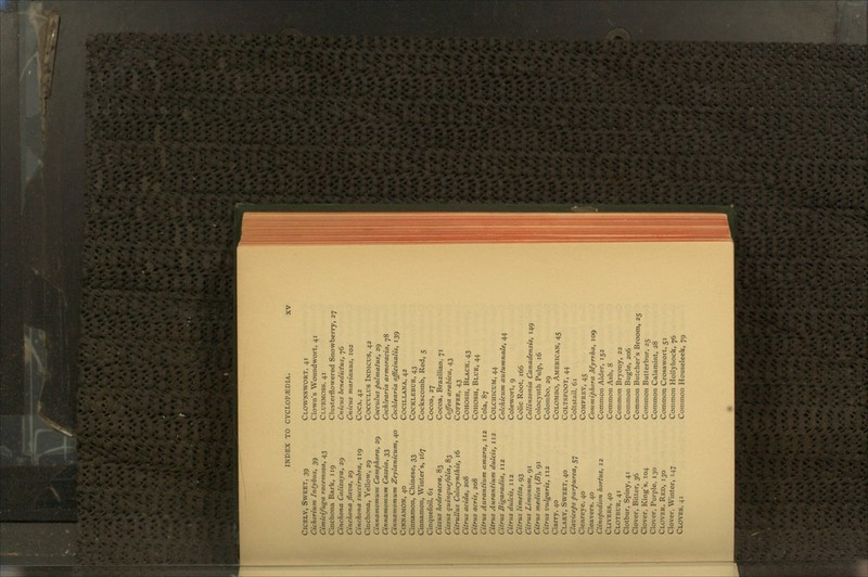 Cicely, Sweet, 39 Cichorium Intybus, 39 Cimicifuga racemosa, 43 Cinchona Bark, 119 Cinchona Calisaya, 29 Cinchona jlava, 29 Cinchona succirubra, 119 Cinchona, Yellow, 29 Cinnamomum Camphora, 29 Cinnamomum Cassia, 33 Cinnamomum Zeylanicum, 40 Cinnamon, 40 Cinnamon, Chinese, 33 Cinnamon, Winter's, 167 Cinquefoil, 61 Cissus hederacea, 83 Cissus quinquefolia, 83 Citrullus Colocynlhis, 16 Citrus acida, 208 Citrus acris, 208 Citrus Aurantium amara, 112 Citrus Aurantium dulcis, 112 Citrus Bigaradia, 112 Citrus dulcis, 112 Citrus limetta, 93 Citrus Limonum, 91 Citrus medica (jB), 91 Citrus vulgaris, 112 Clarry, 40 Clary, Sweet, 40 Claviceps purpurea, 57 Cleareye, 40 Cleavers, 40 Clinopodion horttts, 12 Clivers, 40 Clotbur, 41 Clotbur, Spiny, 41 Clover, Bitter, 36 Clover, King's, 104 Clover, Purple, 130 Clover, Red, 130 Clover, Winter, 147 Cloves, 41 Clownswort, 41 Clown's Woundwort, 41 Clubmoss, 41 Clusterflowered Snowberry, 27 Cnicus benedictus, 76 Cnicus marianus, 102 Coca, 42 Cocculus Indicus, 42 Cocculus pahnatus, 29 Cochlearia armoracia, 78 Cochlearia officinalis, 139 COCILLANA, 42 COCKLEBUR, 43 Cockscomb, Red, 5 Cocoa, 27 Cocoa, Brazilian, 71 Coffea arabica, 43 Coffee, 43 Cohosh, Black, 43 Cohosh, Blue, 44 Cola, 87 Colchicum, 44 Colchicum autumnale, 44 Colewort, 9 Colic Root, 166 Collinsonia Canadensis, 149 Colocynth Pulp, 16 Colombo, 29 Colombo, American, 45 Coltsfoot, 44 Coltstail, 61 Comfrey, 45 Commiphora Myrrha, 109 Common Alder, 152 Common Ash, 8 Common Bryony, 22 Common Bugle, 206 Common Butcher's Broom, 25 Common Butterbur, 25 Common Calamint, 28 Common Crosswort, 51 Common Hollyhock, 76 Common Houseleek, 79