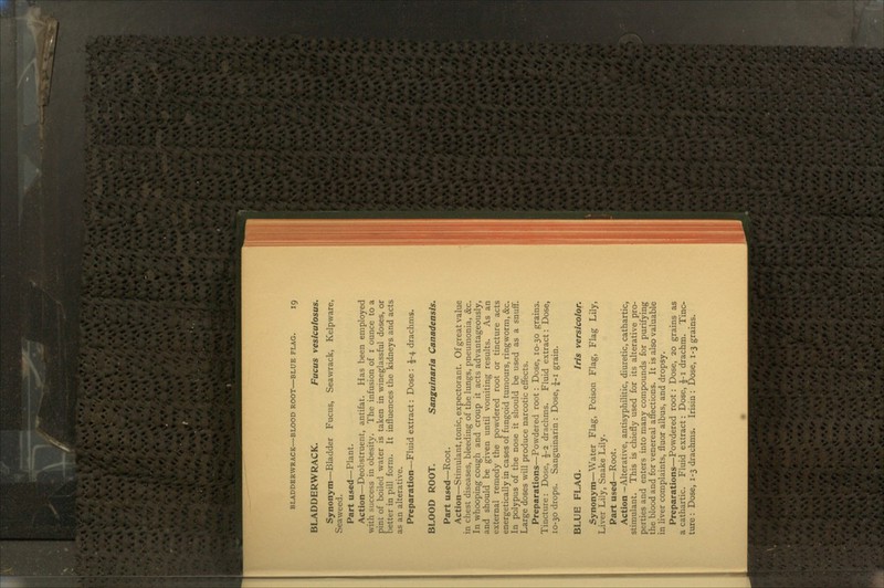BLADDERWRACK. Fucus vesiculosus. Synonym—Bladder Fucus, Seawrack, Kelpware, Seaweed. Part used—Plant. Action—Deobstruent, antifat. Has been employed with success in obesity. The infusion of i ounce to a pint of boiled water is taken in wineglassful doses, or better in pill form. It influences the kidneys and acts as an alterative. Preparation—Fluid extract: Dose : £-4 drachms. BLOOD ROOT. Sanguinaria Canadensis. Part used—Root. Action—Stimulant, tonic, expectorant. Of great value in chest diseases, bleeding of the lungs, pneumonia, &c. In whooping cough and croup it acts advantageously, and should be given until vomiting results. As an external remedy the powdered root or tincture acts energetically in cases of fungoid tumours, ringworm, &c. In polypus of the nose it should be used as a snuff. Large doses will produce narcotic effects. Preparations—Powdered root: Dose, 10-30 grains. Tincture: Dose, \-i drachms. Fluid extract: Dose, 10-30 drops. Sanguinarin : Dose, £-1 grain. BLUE FLAG. Iris versicolor. Synonym—Water Flag, Poison Flag, Flag Lily, Liver Lily, Snake Lily. Part used—Root. Action -Alterative, antisyphilitic, diuretic, cathartic, stimulant. This is chiefly used for its alterative pro- perties and enters into many compounds for purifying the blood and for venereal affections. It is also valuable in liver complaints, fiuor albus, and dropsy. Preparations—Powdered root: Dose, 20 grains as a cathartic. Fluid extract: Dose, £-1 drachm. Tinc- ture : Dose, 1-3 drachms. Irisin : Dose, 1-3 grains.