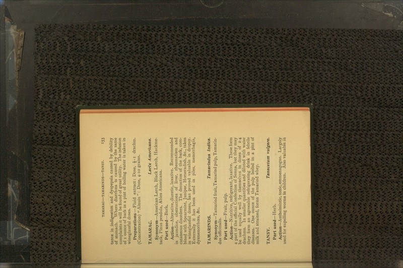 tance in indigestion and dyspepsia caused by debility of stomach. Where diarrhoea is caused by the same complaints it will be found of great utility. The infusion of 1 ounce of bark in a pint of boiling water is taken in wineglassful doses. Preparations—Fluid extract: Dose, £-1 drachm. (Concentration)  Alnuin  : Dose, 4-10 grains. TAMARAC. Larix Americana. Synonym—American Larch, Black Larch, Hackme- tack, Pinus pendula, Abies Americana. Part used—Bark. Action—Alterative, diuretic, laxative. Recommended in jaundice, obstructions of liver, rheumatism and cutaneous disorders. The decoction of the bark, com- bined with Spearmint, Juniper, Horseradish, &c, taken in wineglassful doses, has proved valuable in dropsy. Externally it has been used in piles, menorrhagia, dysmenorrhoea, &c. TAMARINDS. Tamarindus Indica. Synonym—Tamarind fruit, Tamarind pulp, Tamarin- dus officinalis. Part used—Fruit, pulp. Action—Nutritive, refrigerant, laxative. These form a part of the official Confection of Senna, but they may be used equally well by themselves in doses of 2-4 drachms. In smaller quantities and diluted with water they form an agreeable refrigerating drink in febrile diseases. One ounce of the pulp boiled in a pint of milk and strained, forms Tamarind whey. TANSY. Tanacetum vulgare. Part used—Herb. Action—Anthelmintic, tonic, emmenagogue. Largely used for expelling worms in children. Also valuable in