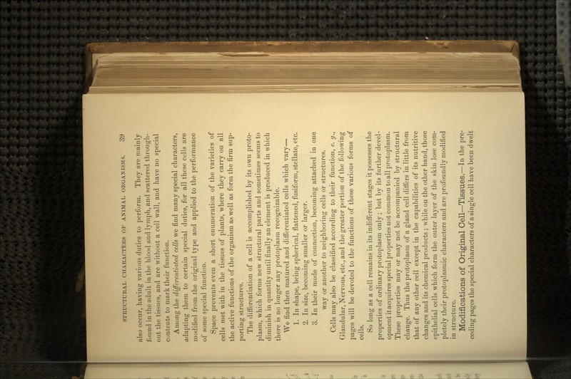 also occur, having various duties to perform. They are mainly found in the adult in the blood and lymph, and scattered through- out the tissues, and are without a cell wall, and have no special contents to mark their function. Among the differentiated cells we find many special characters, adapting them to certain special duties, for all these cells are modified from the original type and applied to the performance of some special function. Space prevents even a short enumeration of the varieties of cells met with in the tissues of plants, where they carry on all the active functions of the organism as well as form the firm sup- porting structures. The differentiation of a cell is accomplished by its own proto- plasm, which forms new structural parts and sometimes seems to diminish in quantity until finally an element is produced in which there is no longer any protoplasm recognizable. We find then matured and differentiated cells which vary— 1. In shape, being spherical, flattened, fusiform, stellate, etc. 2. In size, becoming smaller or larger. 3. In their mode of connection, becoming attached in one way or another to neighboring cells or structures. Cells may also be classified according to their function, e. g., Glandular, Nervous, etc., and the greater portion of the following pages will be devoted to the functions of these various forms of cells. So long as a cell remains in its indifferent stages it possesses the properties of ordinary protoplasm only ; but by its further devel- opment it acquires special properties not common to all protoplasm. These properties may or may not be accompanied by structural change. Thus the protoplasm of a gland cell differs in little from that of any other cell except in the capabilities of its nutritive changes and its chemical products ; while on the other hand, those epithelial cells which form the outer layer of the skin lose com- pletely their protoplasmic characters and are profoundly modified in structure. Modifications of Original Cell—Tissues,—In the pre- ceding pages the special characters of a single cell have been dwelt