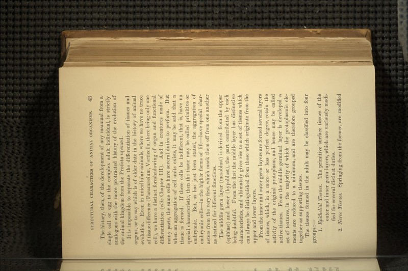 The history, then, of the development of any mammal from a single cell or egg to the complex adult individual, is strictly analogous with the more protracted history of the evolution of the animal kingdom from the Protista upward. It is impossible to separate the differentiation of tissues and organs, or to say which is of older date in the history of animal evolution. Even in unicellular animals, where we have no trace of tissue difference (Paramaicium, Vorticella, there being only one cell), we have a distinct foreshadowing of organ and functional differentiation (vide Chapter III). And in creatures made of many parts, the same cells have several duties to perform. But when an aggregation of cell units exists, it may be said that a tissue is formed. If these cells be indifferent, that is, have no special characteristic, then the tissue may be called primitive or embryonic. But, as has just been stated, the aggregation of embryonic cells—in the higher forms of life—have special char- acters from the very first, which mark them off from one another as destined for different functions. The middle germ layer (mesoblast) is derived from the upper (epiblast) and lower (hypoblast), the part contributed by each being doubtful. From the first the middle layer has distinctive characteristics, and ultimately gives rise to a set of tissues which can always be distinguished from those which originate from the upper and lower layers. From the inner and outer germ layers are formed several layers of tissues, which, in a more or less perfect degree, retain the activity of the original protoplasm, and hence may be called active tissues. From the middle germinal layer is developed a set of textures, in the majority of which the protoplasmic ele- ments are reduced to a minimum, and are therefore grouped together as supporting tissues. The tissues formed in the adult may be classified into four groups:— 1. Epithelial Tissues. The primitive surface tissues of the outer and inner germ layers, which are variously modi- fied for several distinct duties. 2. Nerve Tissues. Springing from the former, are modified