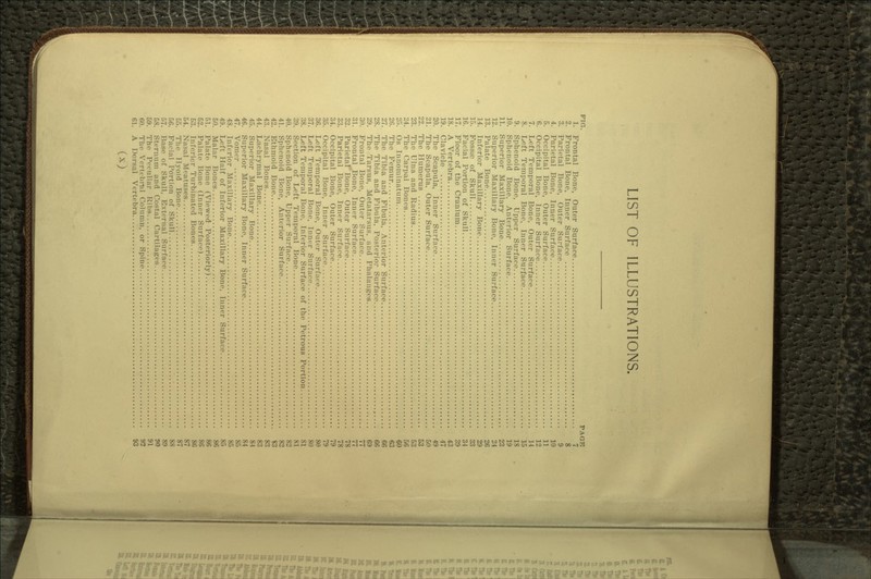 LIST OF ILLUSTRATIONS. FIG. PAGE 1. Frontal Bone, Outer Surface 7 2. Frontal Bone, Inner Surface 8 3. Parietal Bone, Outer Surface 9 4. Parietal Bone, Inner Surface 10 5. Occipital Bone, Outer Surface 11 6. Occipital Bone, Inner Surface 12 7. Left Temporal Bone, Outer Surface 14 8. Left Temporal Bone, Inner Surface 15 9. Sphenoid Bone, Upper Surface 18 10. Sphenoid Bone, Anterior Surface 19 11. Superior Maxillary Bone 23 12. Superior Maxillary Bone, Inner Surface 24 13. Palate Bone 26 14. Inferior Maxillary Bone 29 15. Fossa; of Skull 33 16. Facial Portion of Skull 34 17. Floor of the Cranium 39 18. A Vertebra 43 19. Clavicle ' 47 20. The Scapula, Inner Surface 49 21. The Scapula, Outer Surface 50 22. The Humerus 53 23. The Ulna and Radius 53 24. The Carpal Bones 56 25. Os Innominatum 60 26. The Femur 63 27. The Tibia and Fibula, Anterior Surface 66 28. The Tibia and Fibula, Posterior Surface. 66 29. The Tarsus, Metatarsus, and Phalanges 69 30. Frontal Bone, Outer Surface 77 31. Frontal Bone, Inner Surface 77 32. Parietal Bone, Outer Surface 78 33. Parietal Bone, Inner Surface 78 34. Occipital Bone, Outer Surface 79 35. Occipital Bone, Inner Surface 79 36. Left Temporal Bone, Outer Surface 80 37. Left Temporal Bone, Inner Surface 80 38. Left Temporal Bone, Inferior Surface of the Petrous Portion 81 39. Section of Left Temporal Bone 81 40. Sphenoid Bone, Upper Surface 82 41. Sphenoid Bone, Anterior Surface 82 42. Ethmoid Bone 83 43. Nasal Bones 83 44. Lachrymal Bone 83 45. Superior Maxillary Bone 84 46. Superior Maxillary Bone, Inner Surface 84 47. Vomer 85 48. Inferior Maxillary Bone 85 49. Left Half of Inferior Maxillary Bone, Inner Surface 85 50. Malar Bones 86 51. Palate Bone (Viewed Posteriorly) 86 52. Palate Bone (Inner Surface) 86 53. Inferior Turbinated Bones 86 54. Nasal Meatuses 87 55. The Hyoid Bone 87 56. Facial Portion of Skull 88 57. Base of Skull, External Surface 89 58. Sternum and Costal Cartilages 90 59. The Peculiar Ribs 91 60. The Vertebral Column, or Spine 92 61. A Dorsal Vertebra 93