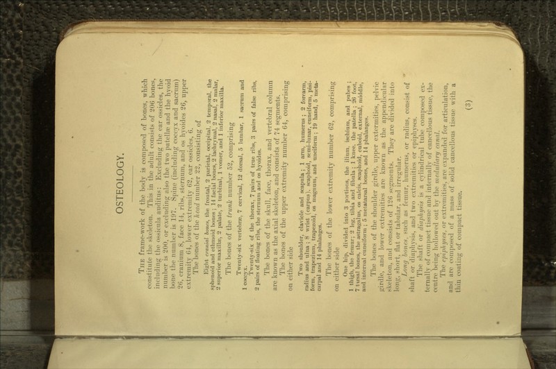 THE frame-work of the body is composed of bones, which constitute the skeleton. This in the adult consists of 206 bones, including the ossicula auditus: Excluding the ear ossicles, the number is 200, or excluding also the two patella? and the hyoid bone the number is 197. Spine (including coccyx and sacrum) 26, cranium 8, face 14, ribs, sternum, and os hyoides 26, upper extremity 64, lower extremity 62, ear ossicles, 6. The bones of the head number 22, consisting of Eight cranial bones, the frontal, 2 parietal, occipital, 2 temporal, the sphenoid and ethmoid bones ; 14 facial bones, 2 lachrymal, 2 nasal, 2 malar, 2 superior maxillae, 2 palate, 2 turbinal, 1 vomer, and 1 inferior maxilla. The bones of the trunk number 52, comprising Twenty-six vertebrae, 7 cervical, 12 dorsal, 5 lumbar, 1 sacrum and 1 coccyx. Twenty-six of the thorax, 7 pairs of true ribs, 3 pairs of false ribs, 2 pairs of floating ribs, the sternum and os hyoides. The bones of the skull, face, thorax, and vertebral column are known as the axial skeleton, and consists of 74 segments. The bones of the upper extremity number 64, comprising on either side Two shoulder, clavicle and scapula ; 1 arm, humerus ; 2 forearm, radius and ulna ; 8 wrist (carpus), scaphoid, semi-lunar, cuneiform, pisi- form, trapezium, trapezoid, os magnum, and unciform ; 19 hand, 5 meta- carpal and 14 phalanges. The bones of the lower extremity number 62, comprising on either side One hip, divided into 3 portions, the ilium, ischium, and pubes ; 1 thigh, the femur; 2 leg, tibia and fibula ; 1 knee, the patella ; 26 foot. 7 t irsal bones, the astragalus, os calcis, scaphoid, cuboid, external, middle, and internal cuneiform ; 5 metatarsal bones, and 14 phalanges. The bones of the shoulder girdle, upper extermities, pelvic .uirdle, and lower extremities are known as the appendicular skeleton, and consists of 126 segments. They are divided into long, short, flat or tabular, and irregular. Long bones, such as femur, humerus, or radius, consist of shaft or diaphvsis, and two extremities or epiphyses. The shaft or diaphysis is a cylindrical tube composed ex- ternally of compact tissue and internally of cancellous tissue, the centre being hollowed out by the medullary canal. The t'/tifilu/xes, or extremities, are expanded for articulation, and are composed of a mass of solid cancellous tissue with a thin coating of compact tissue.