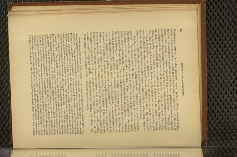 blood-vessels, form on the palms and soles regular, parallel, usually crooked ridges, which inclose between them the well-known fine furrows of these parts. On the rest of the body rows and groups of papillae are divided by deep epithelial processes into distinct fields, which produce an irregular formation of grooves between them. Although the ■primary epithelial prolongations are formed much too early and superficially to have any connection with the lines of direction of the fibrillary tissue of the corium, the general direction of the epidermic fields produced by them {i. e., the main diagonals of the oblong) coincides, on the whole, with the direction of cleavage of the corium (0. Simon). The fields of the epidermis, which, besides on the hands and feet, are especially well- developed on the joints, the extensor surfaces of the extremities, and the hairy scalp, seem therefore to be subject to the general laws of tension of the skin. Only where well- marked cleavage predominates do they appear distinctly in an oblong form, while on parts with indefinite cleavage they are square, triangular, or irregular in shape. Papillm.—The papillse are very irregularly distributed, and vary greatly in shape and size. They have, as a rule, the shape of a blunt cone, being 1^ to 2 times higher than they are broad. Their height varies between 0.05 and 0.2 mm., the latter dimen- sion being attained on the palms and soles. There they are arranged in two rows of simple or compound papillae, inside the ridges already described, frequently inclosing smaller papillee between them. They are still more numerous on the clitoris and penis, the labia minora, and the areola of the nipple. In many parts of the body they are entirely wanting or appear only as flat elevations. Mention must also be made of the fact that the surface of the corium, which is plastic to a high degree, accommodates itself to all the changes of the epithelial structures which penetrate it. In consequence of the advance of the epithelial processes into it, the papillse are rendered longer and narrower, while new ones are formed by the surrounding of new portions of the corium by the growing epithelium. When they undergo atrophic involution, they become shorter and broader, and finally sink again into a level surface, as in old age. During this process, the natural irregularities of the part produce dendritic forms of the surface of the corium, so-called compound papillae, or flat, mound-shaped figures, and almost com- pletely isolated, globular portions of the corium are sometimes seen. Morphological Significance of the Papillce.—The custom of regarding the papillary layer as a tissue of permanent form, constructed after a definite plan, cannot stand the test of more careful observation. There is no normal standard for the papillae of each region of the body, which might perhaps serve as a means of comparison in the employment of the common terms, hypertrophy and atrophy. The papillary layer can be regarded only as an extremely variable border phenomenon, which in each case represents only the relation between the pressure exerted by the growth of the epidermis on one side and of the corium on the other. The only standard for judging pathological conditions is consequently comparison with the adjacent normal skin. There still prevails, how- ever, a tendency to ascribe every change in form of the papillary layer to the sole activity of the connective tissue. The real truth of the matter was first clearly made known by Auspitz in 1870. It is true that an ingrowth of young connective tissue into the epithelium does sometimes occur under pathological conditions. But in such a case the epithelium is always found to be pathologi- cally altered, filled with wandering cells, disarranged, and destroyed. ,A /iendritic splitting up of healthy epithelium by growing connective tissue does not occur in the skin, although it may well be possible after a partial loss of epithelium. At an early period of the development of the sheep, it is true, the sti'iking picture of masses of granulations are found here and there on the head, w^hich push out the still very thin epidermis. But the human epidermis is from the first too strongly .developed for this, and too much mclined to local hyperplasise. As opposed to all the processes which it sends downwards for the formation of the hairs and coil-glands, the activity of the corium is restricted to this, that it in part from the first diverts the ingrowing epithelium from firm to less resisting